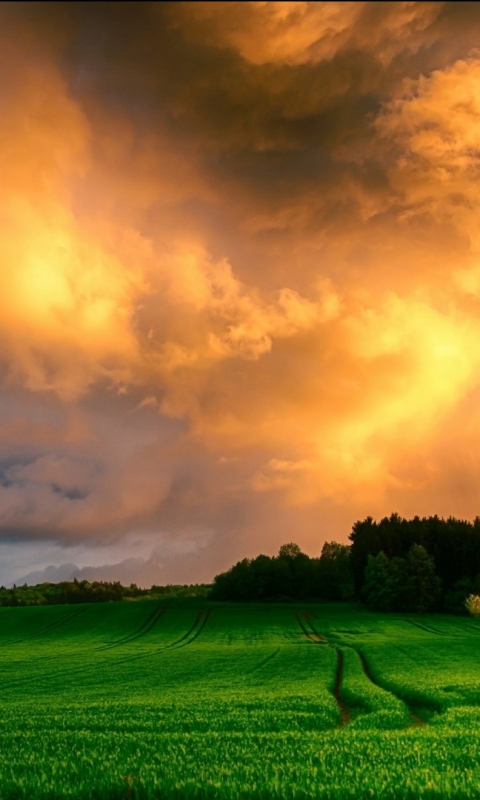 Download mobile wallpaper Sunset, Sky, Earth, Field, Orange (Color) for free.