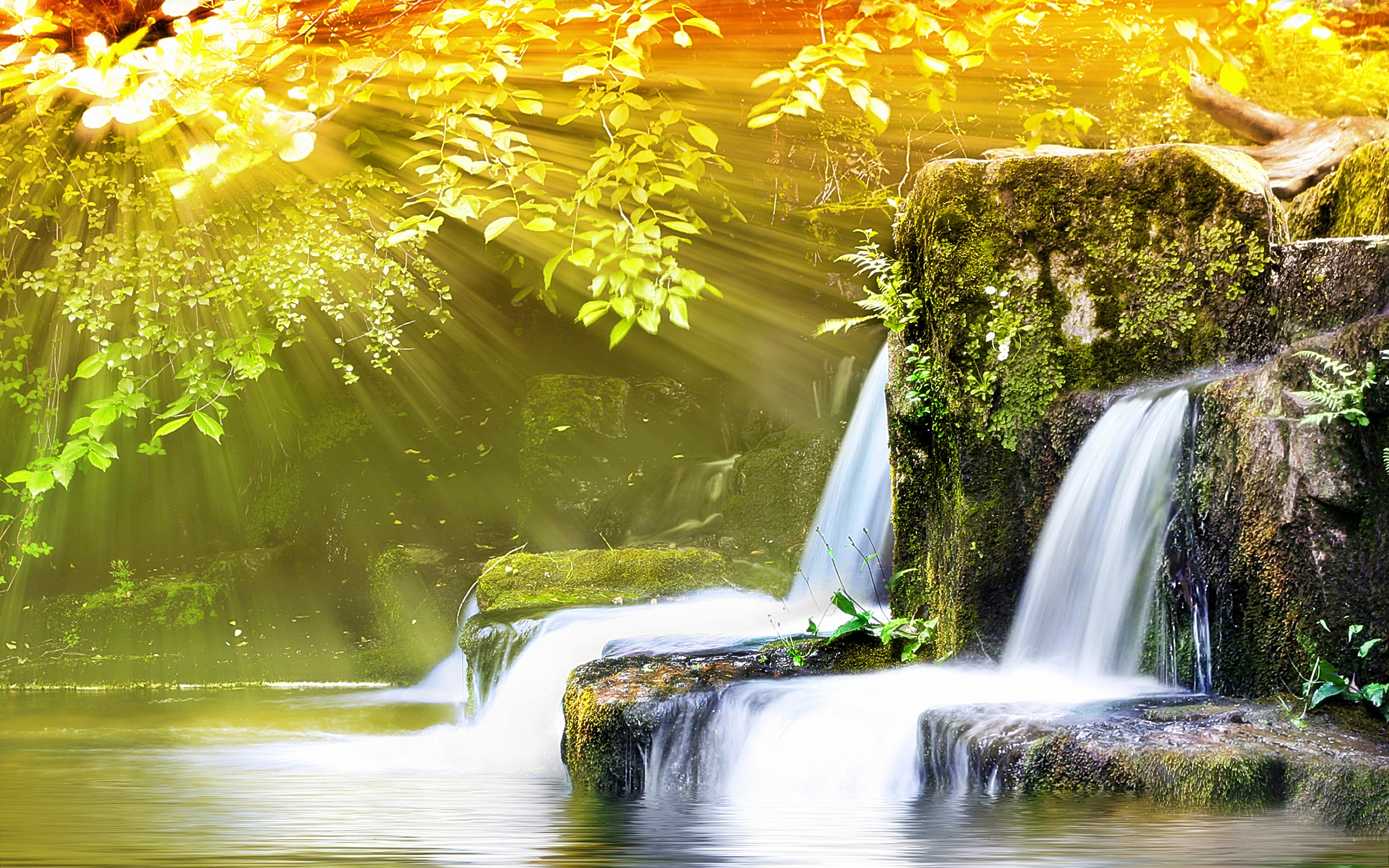 Free download wallpaper Nature, Artistic on your PC desktop