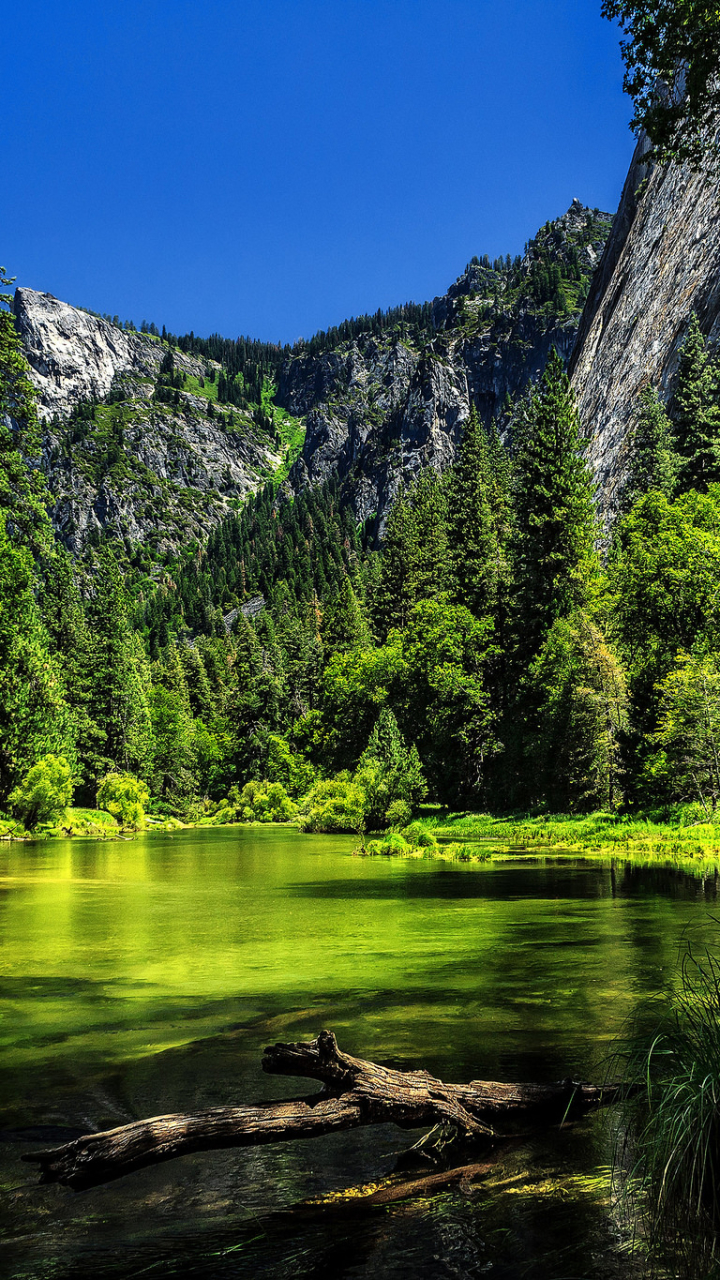 Скачать картинку Природа, Гора, Озеро, Лес, Зеленый, Национальный Парк, Калифорния, Йосемитский Национальный Парк, Земля/природа в телефон бесплатно.
