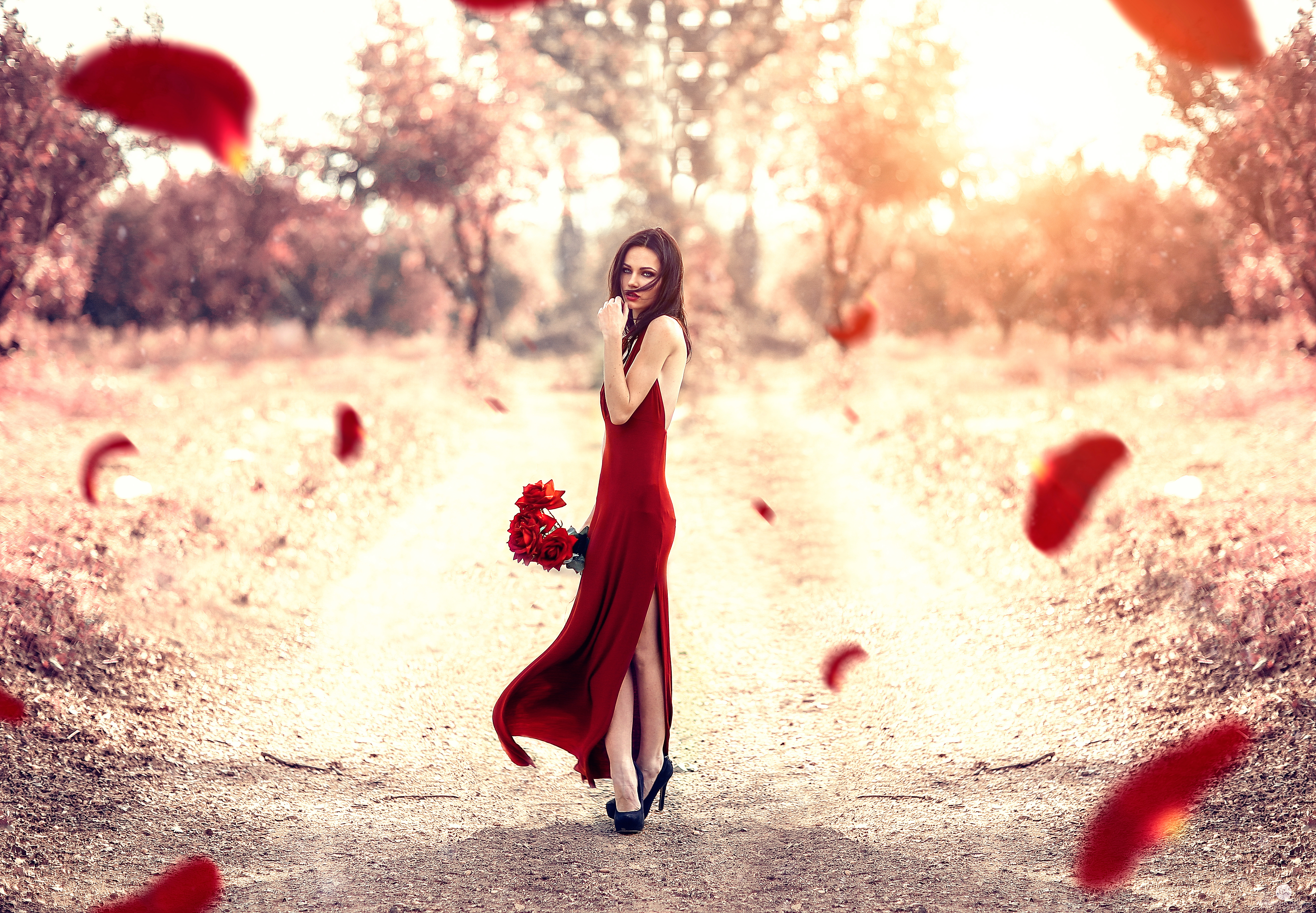 Download mobile wallpaper Bokeh, Brunette, Model, Women, Red Flower, Red Dress, Outdoor for free.