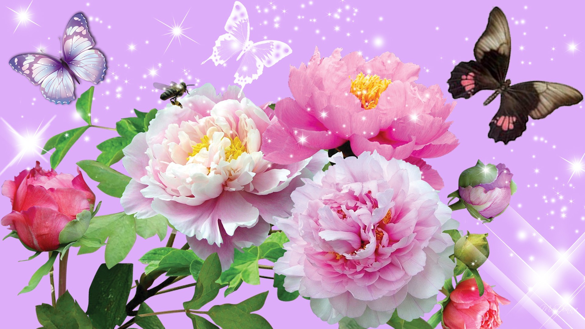 Descarga gratis la imagen Flor, Flor Rosa, Mariposa, Artístico, Peonia en el escritorio de tu PC
