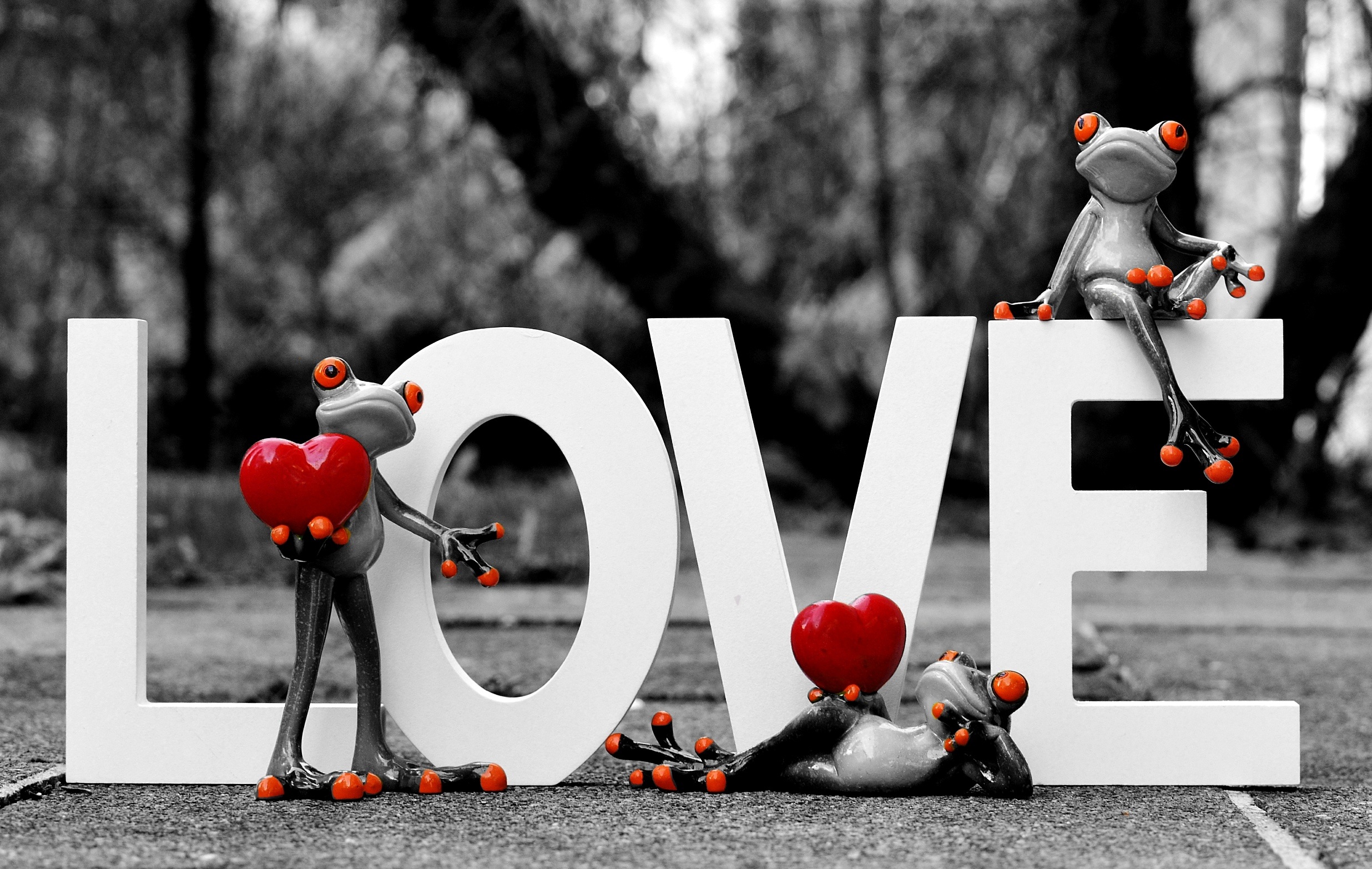 love, photography, figurine, frog, selective color, valentine's day