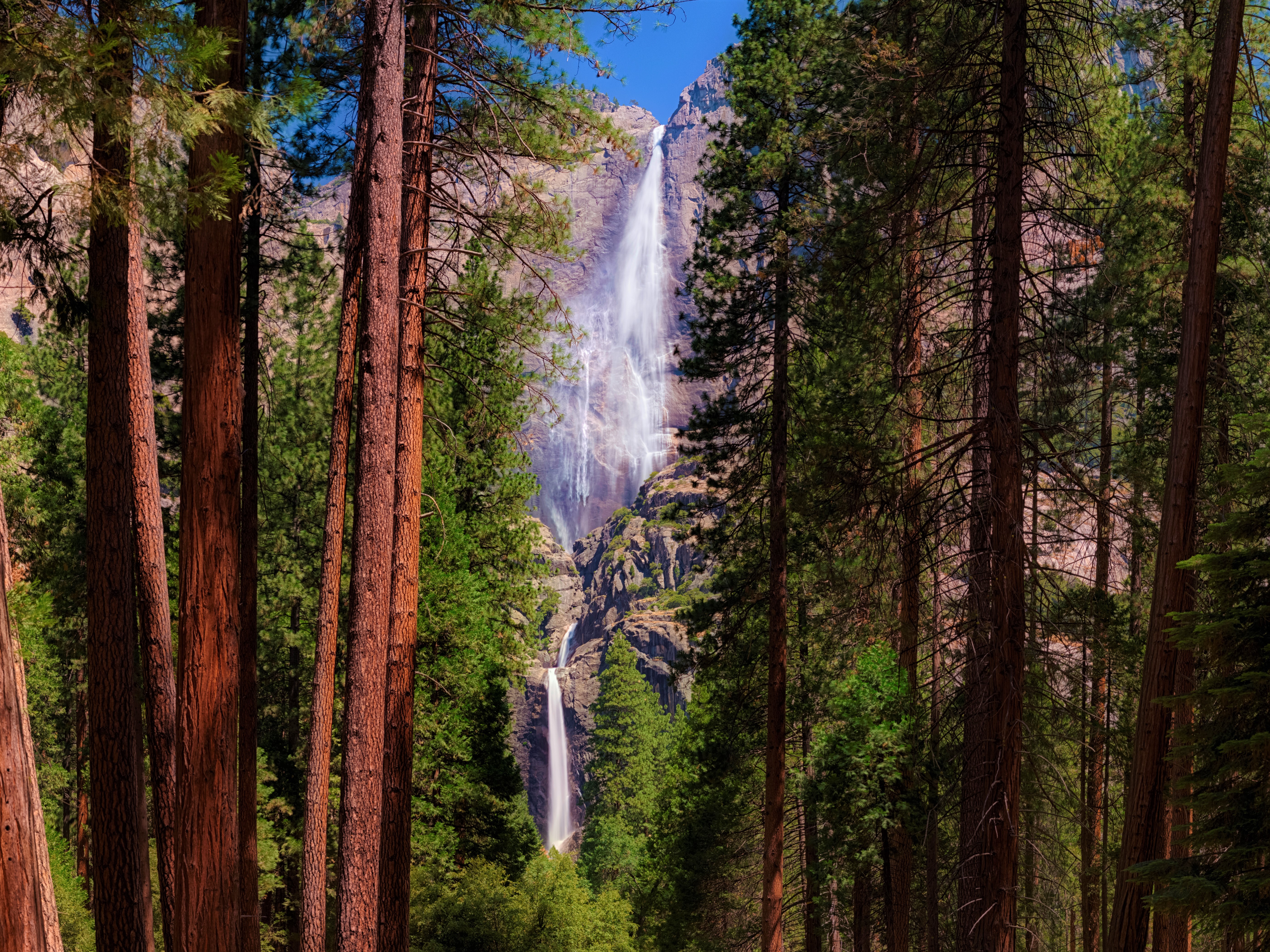 Laden Sie das Wasserfälle, Wasserfall, Wald, Baum, Klippe, Gebirge, Erde/natur-Bild kostenlos auf Ihren PC-Desktop herunter