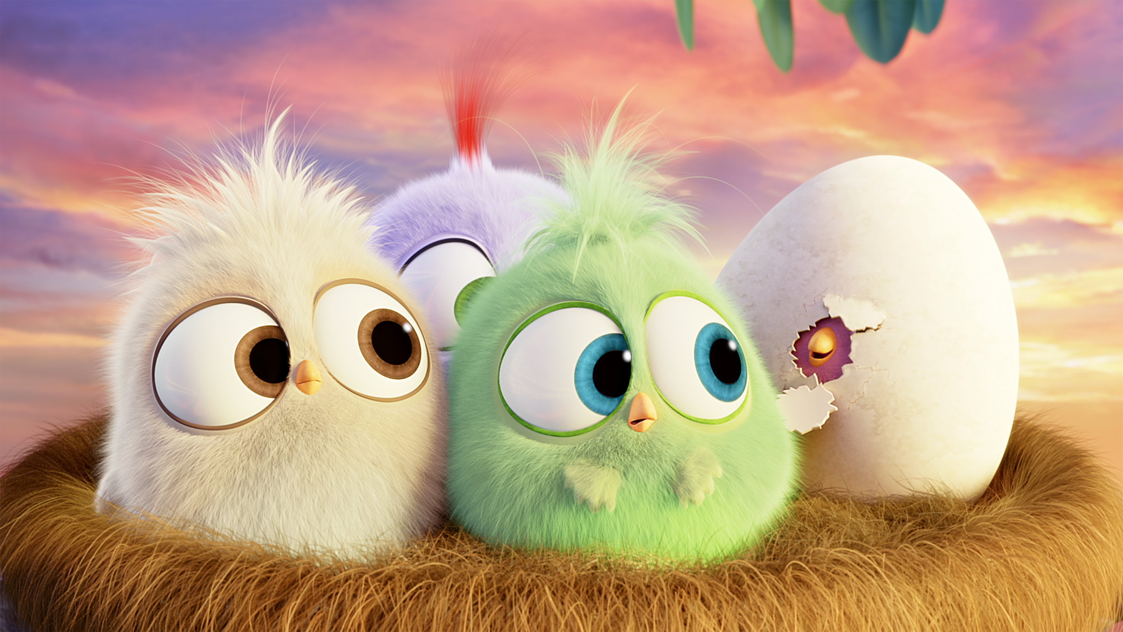 Laden Sie Angry Birds HD-Desktop-Hintergründe herunter
