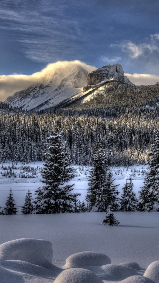 Download mobile wallpaper Winter, Earth for free.