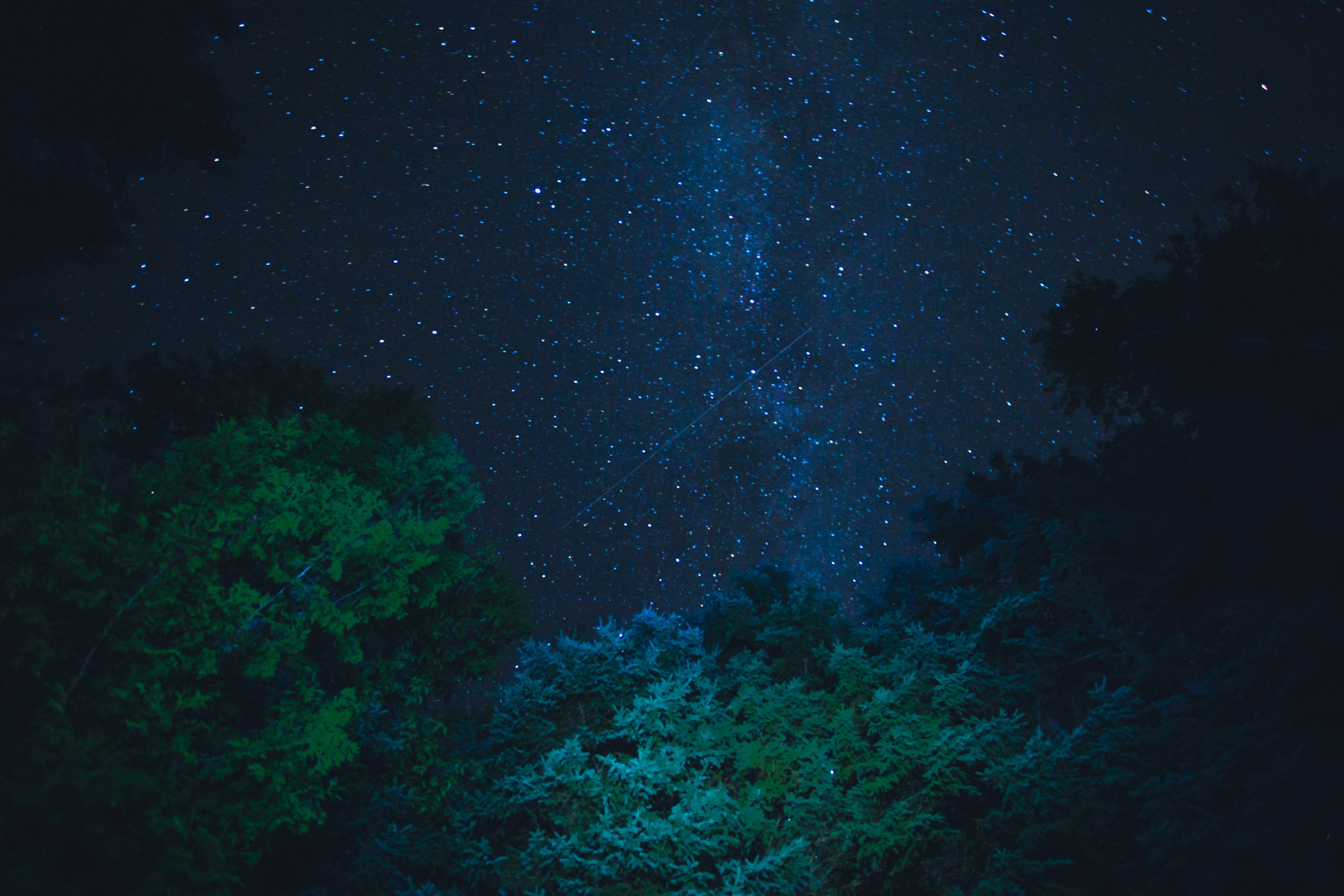 Download mobile wallpaper Trees, Stars, Nature, Starry Sky, Night for free.