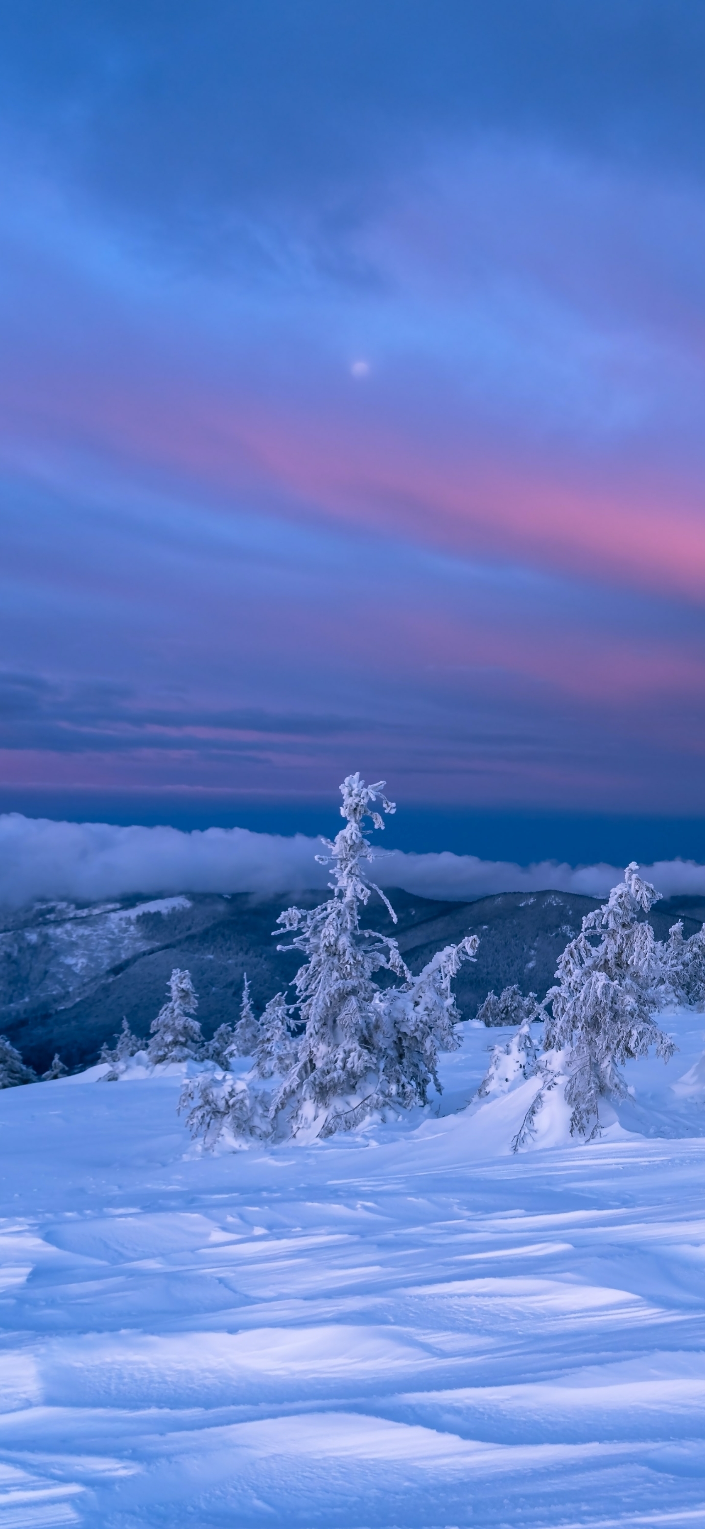 Handy-Wallpaper Winter, Schnee, Erde/natur kostenlos herunterladen.