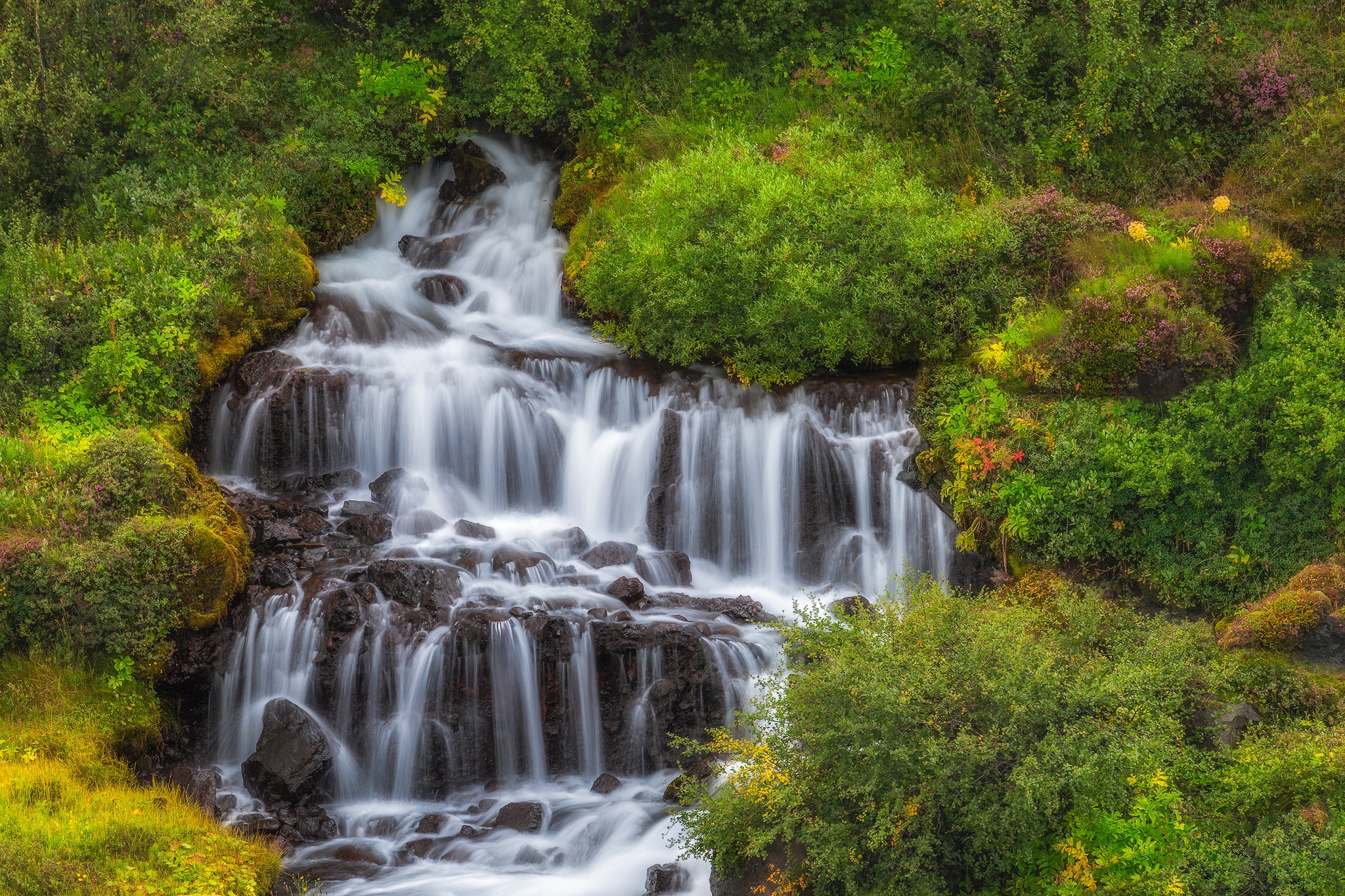 Download mobile wallpaper Nature, Waterfalls, Bush, Waterfall, Earth for free.