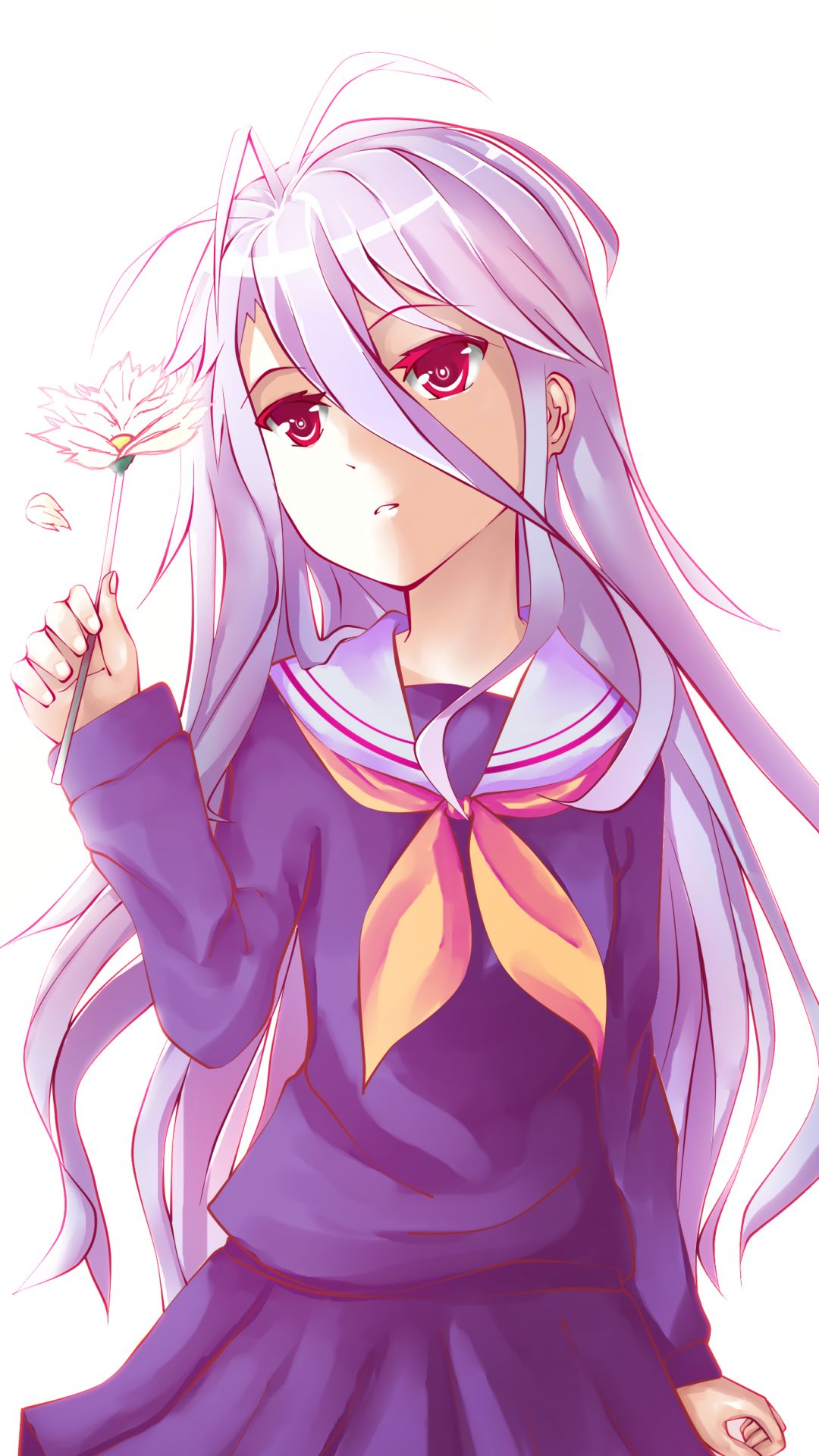 Download mobile wallpaper Anime, Shiro (No Game No Life), No Game No Life for free.