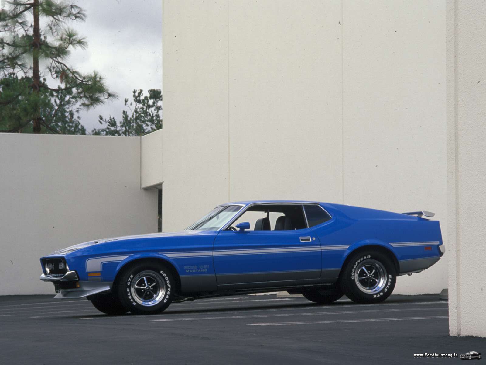 vehicles, ford mustang mach 1, ford