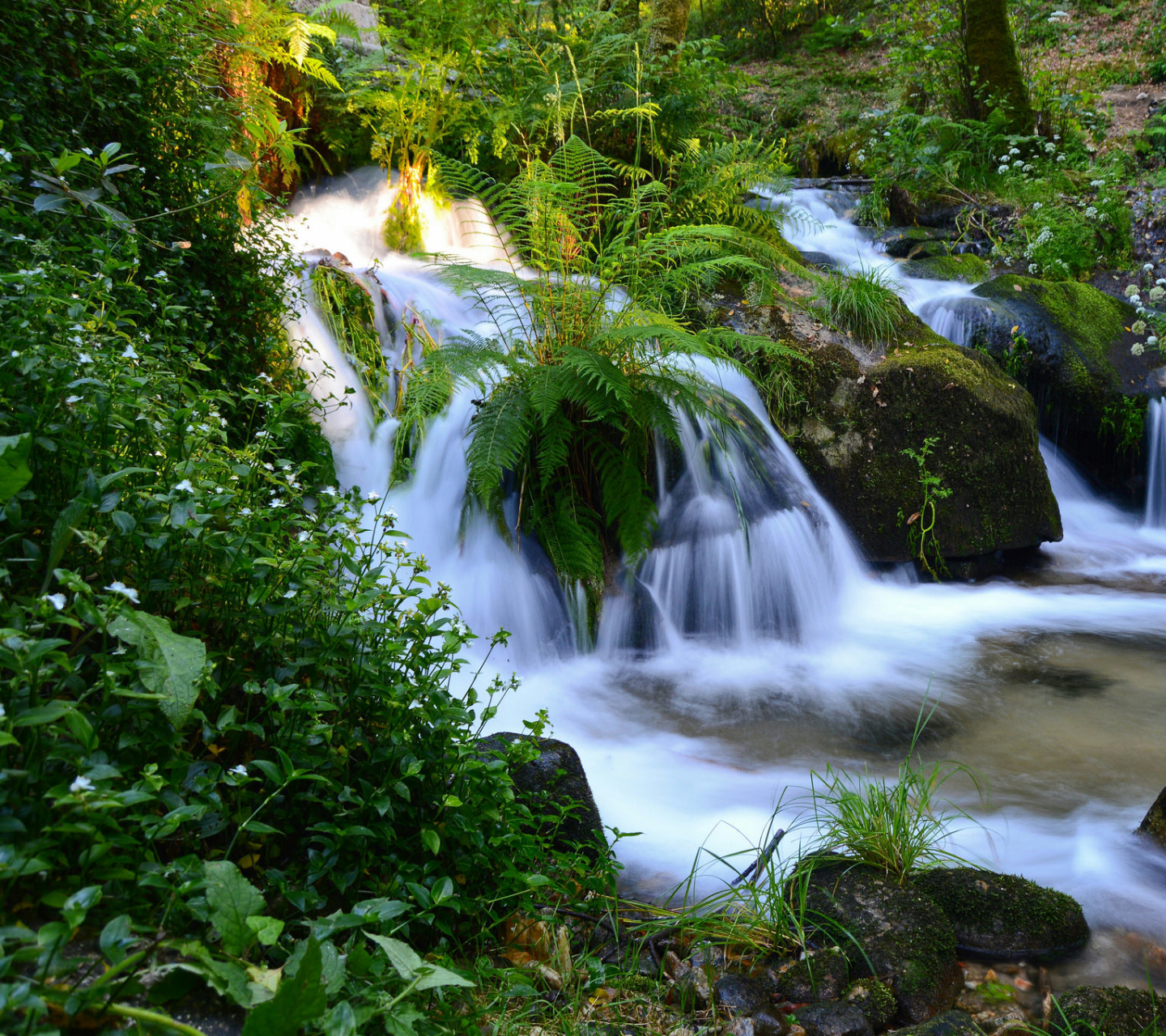Laden Sie das Wasserfälle, Wasserfall, Wald, Erde, Erde/natur-Bild kostenlos auf Ihren PC-Desktop herunter