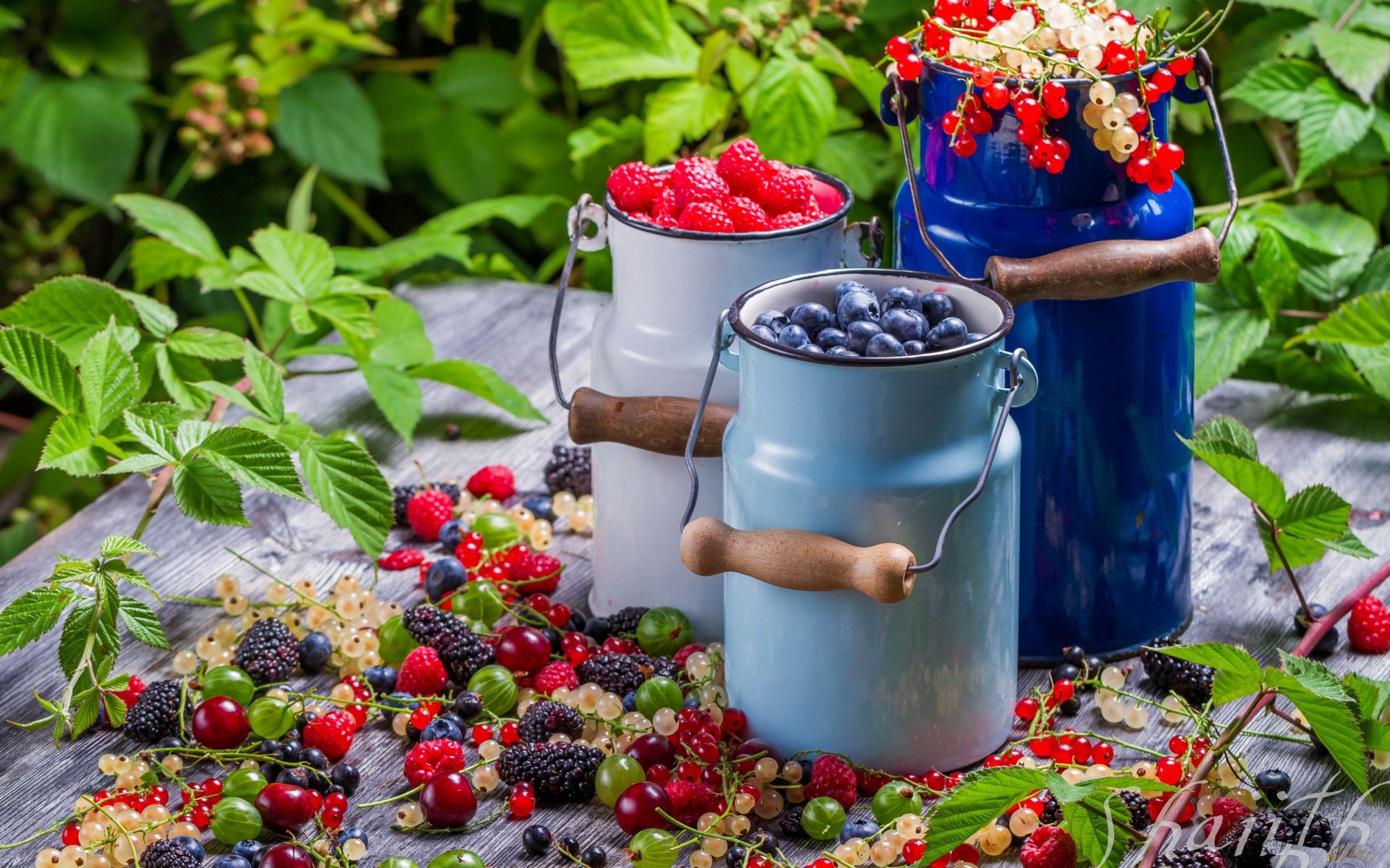 Free download wallpaper Food, Blueberry, Raspberry, Still Life, Berry, Fruit, Currants on your PC desktop