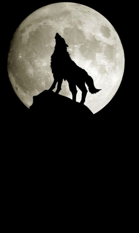 Скачать картинку Животные, Волки, Луна, Волк в телефон бесплатно.