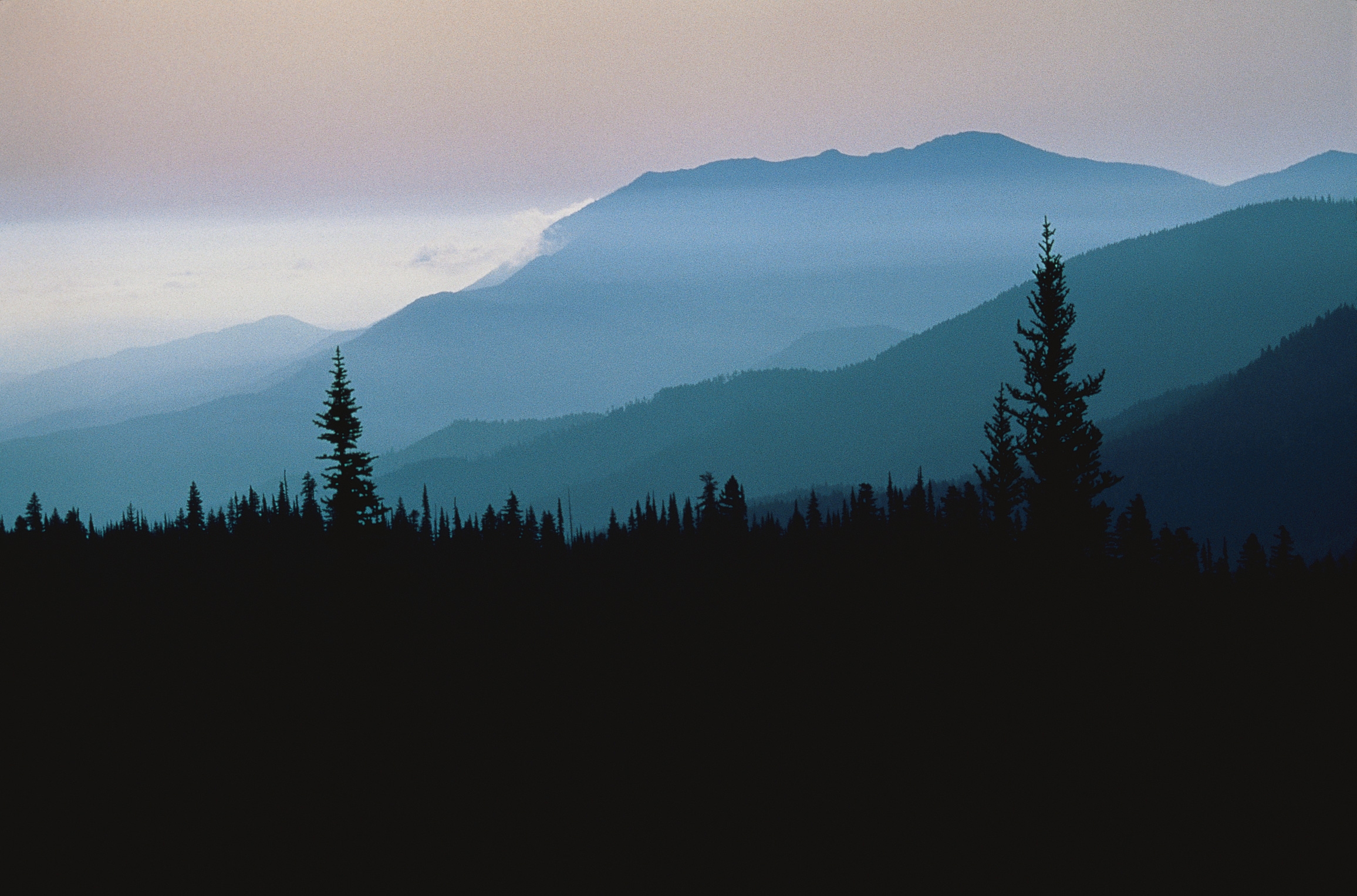 fog, nature, trees, mountains, twilight, clouds, conifers, coniferous, dusk, height, outlines