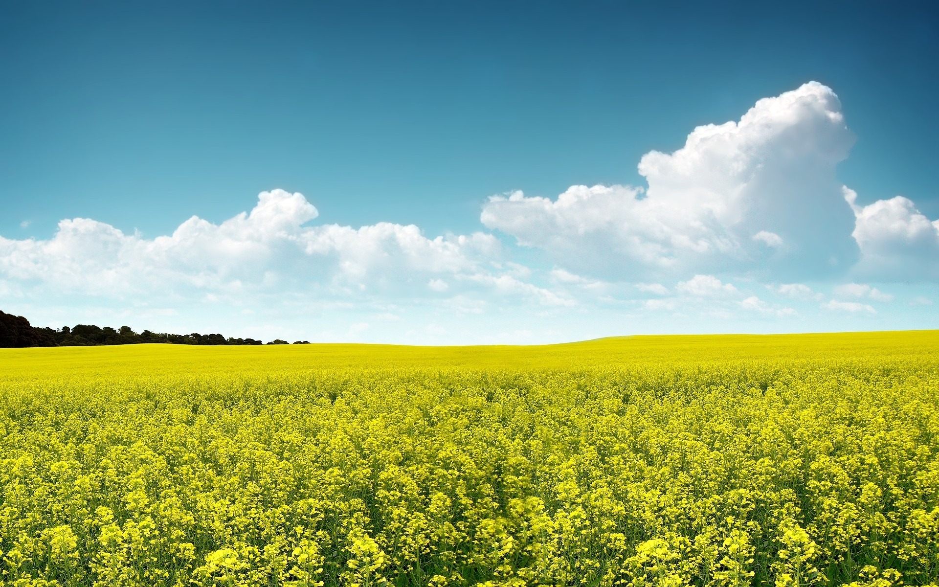 Laden Sie das Landschaft, Erde/natur-Bild kostenlos auf Ihren PC-Desktop herunter