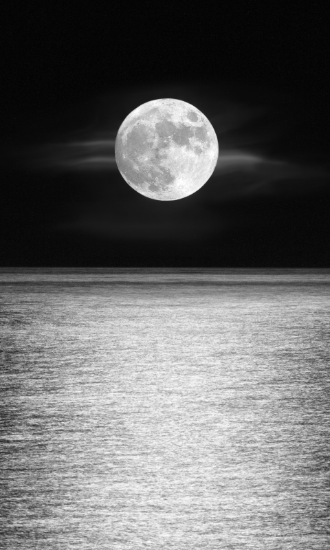 Téléchargez des papiers peints mobile Lune, Horizon, Océan, Clair De Lune, Noir Blanc, Terre/nature, Noir & Blanc gratuitement.