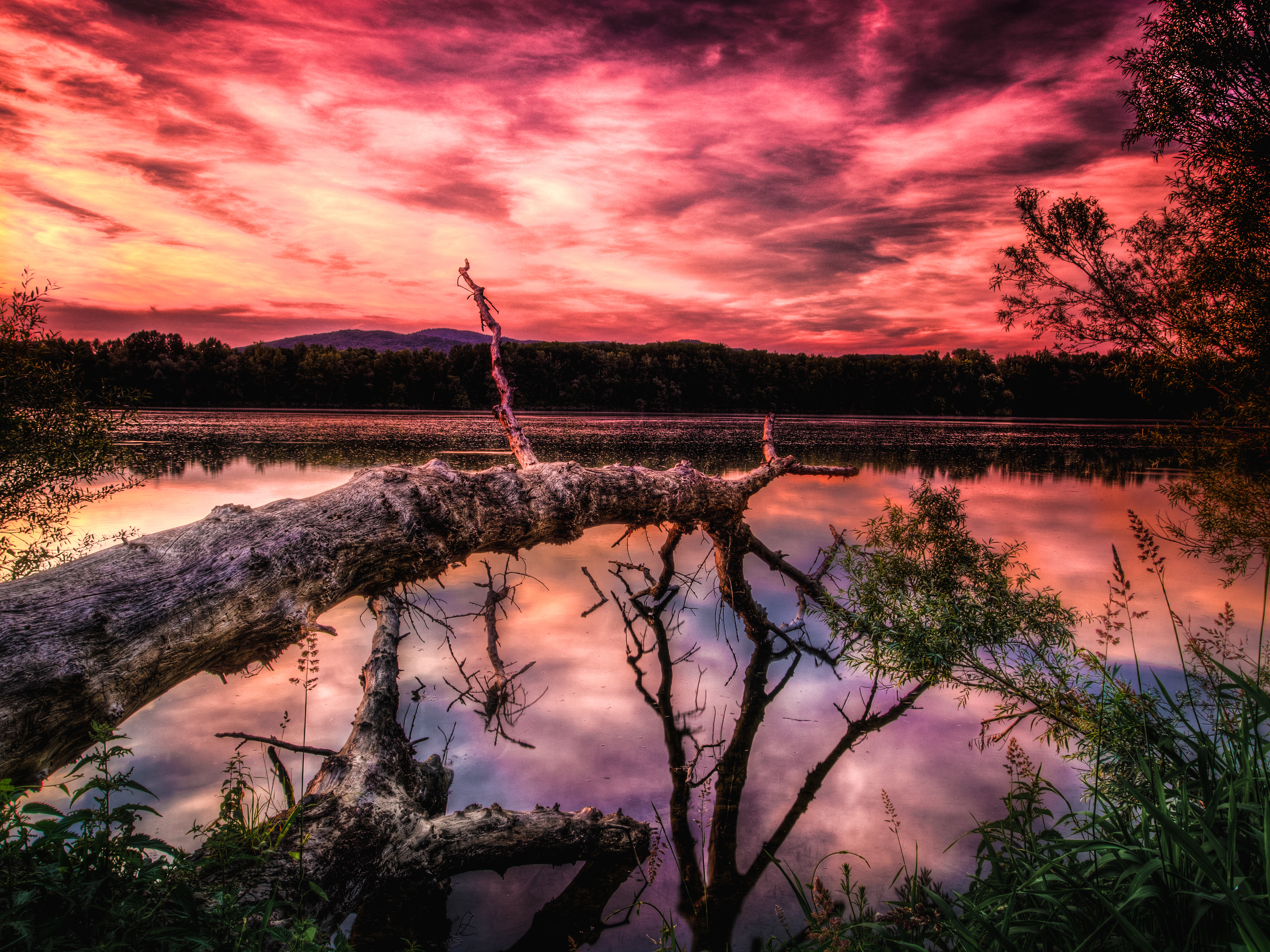Download mobile wallpaper Trees, Lake, Sunset, Hdr, Nature for free.