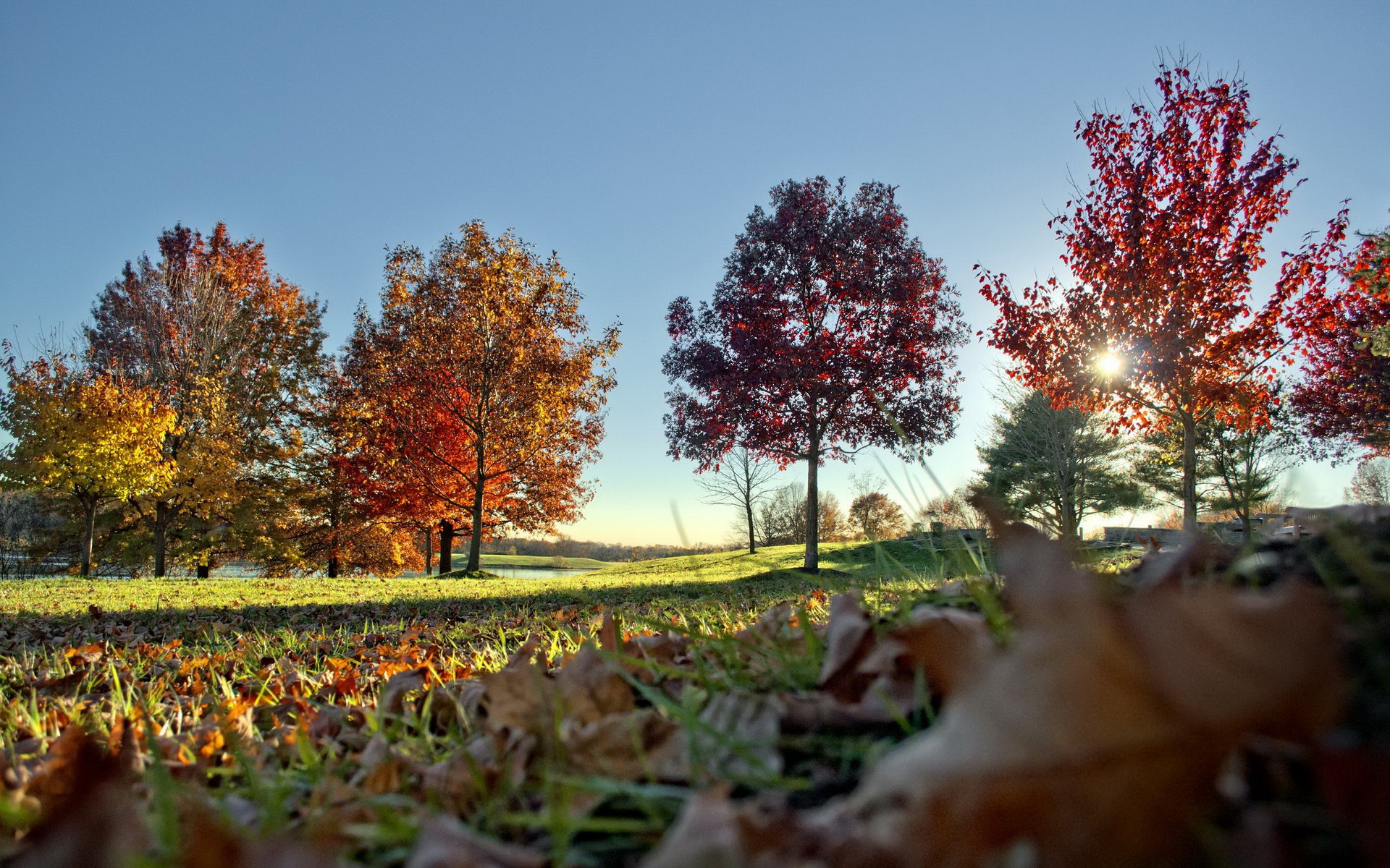 Téléchargez gratuitement l'image Automne, Terre/nature sur le bureau de votre PC