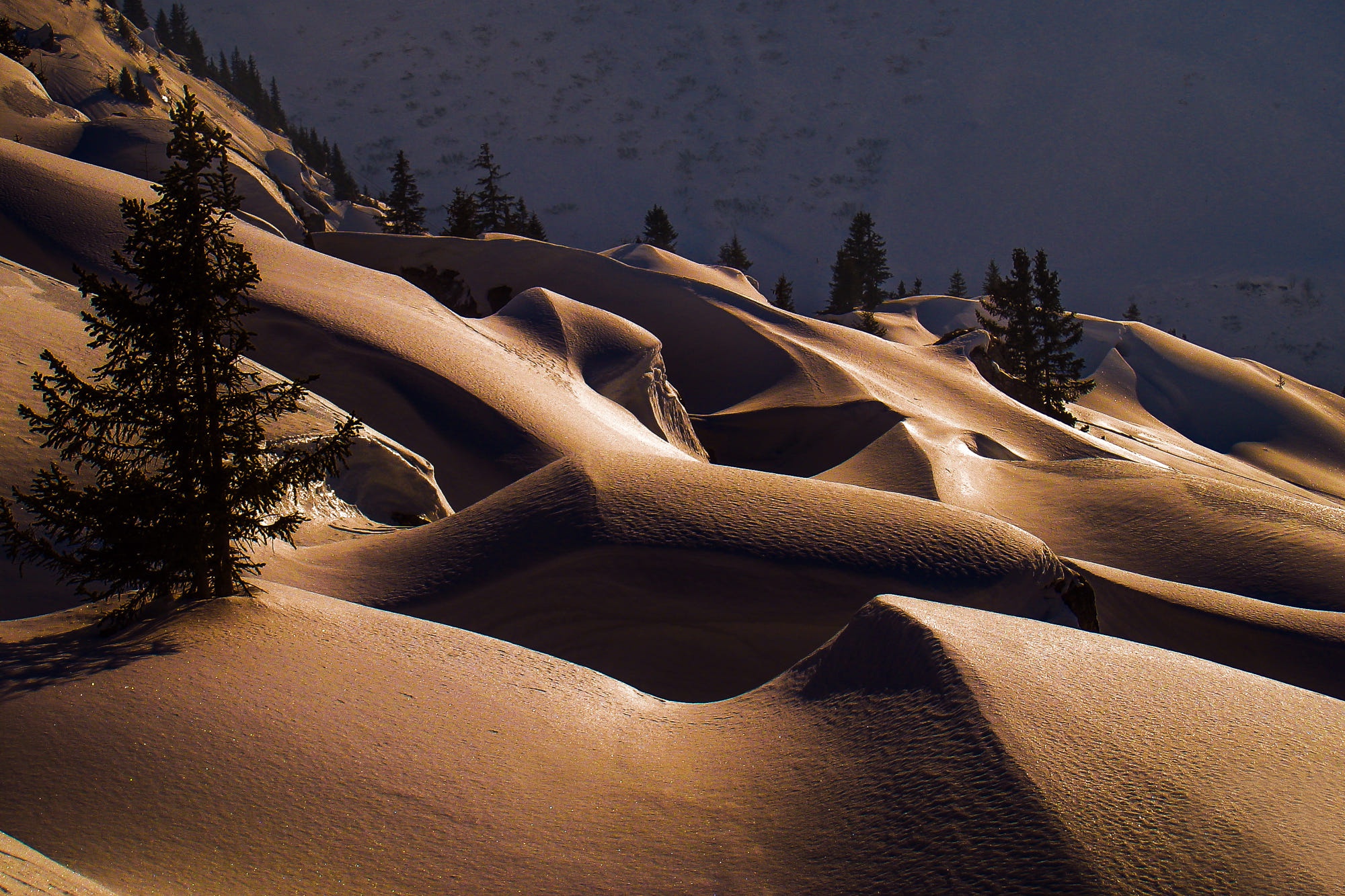 Handy-Wallpaper Winter, Natur, Schnee, Fichte, Erde/natur kostenlos herunterladen.