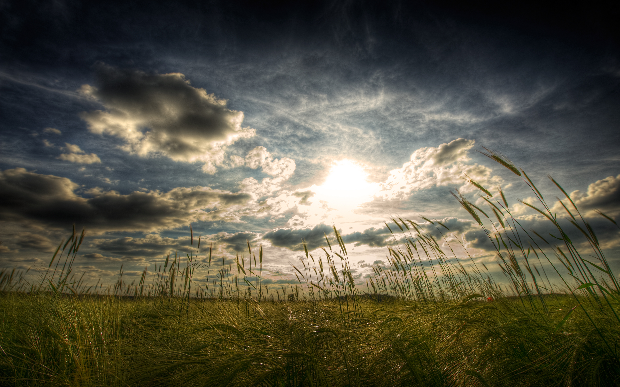 Laden Sie das Feld, Erde/natur-Bild kostenlos auf Ihren PC-Desktop herunter