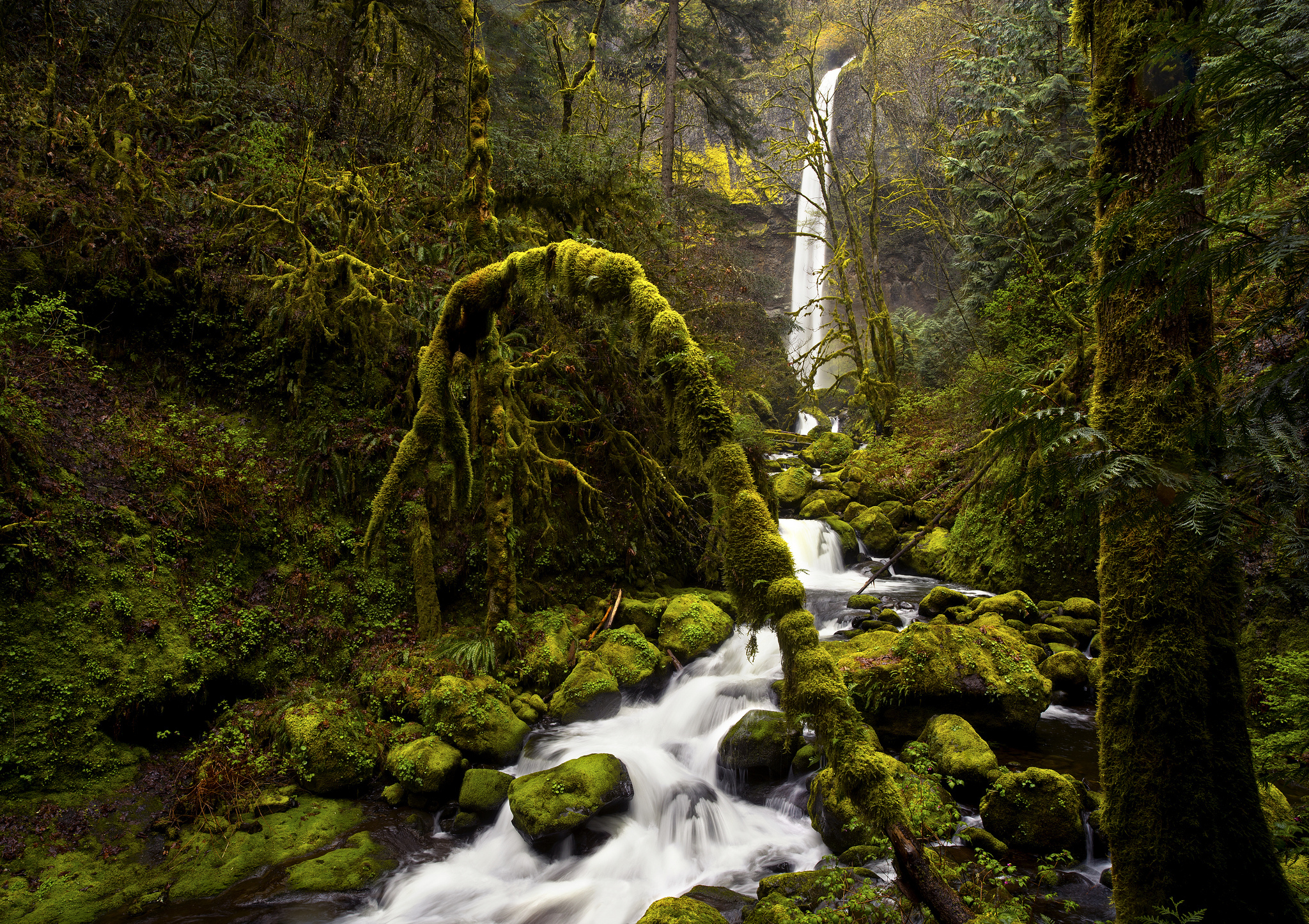 Descarga gratis la imagen Cascadas, Cascada, Tierra/naturaleza en el escritorio de tu PC