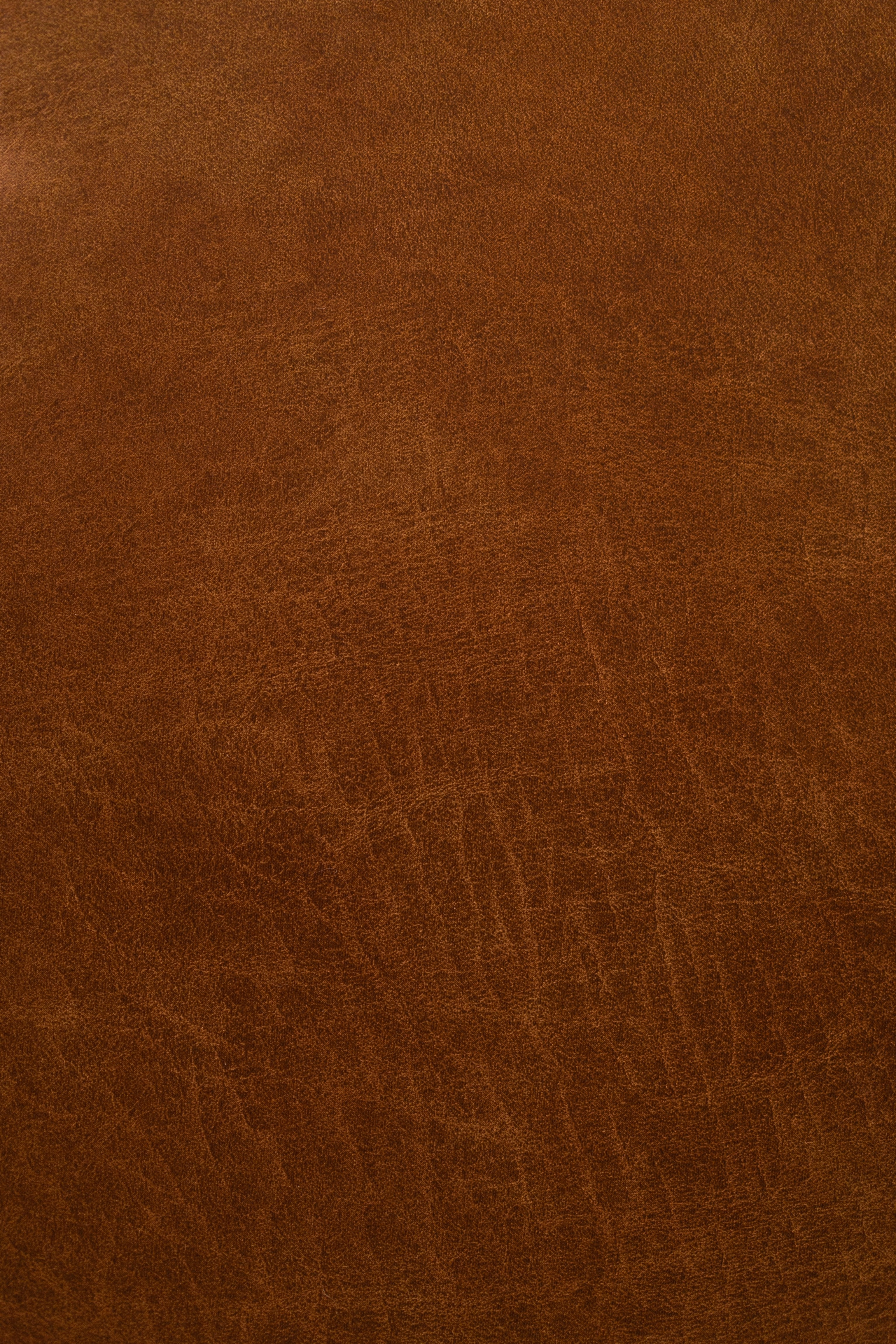 skin, brown, leather, textures, surface, texture