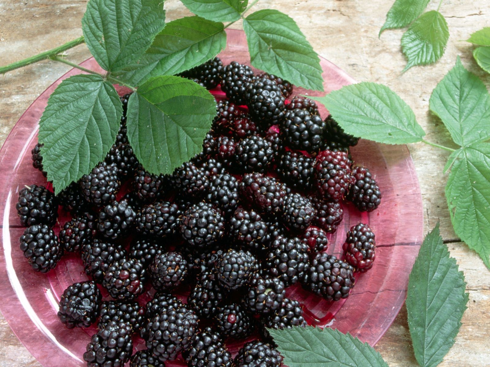 Free download wallpaper Blackberry, Food, Bakery Products, Baking, Leaves on your PC desktop