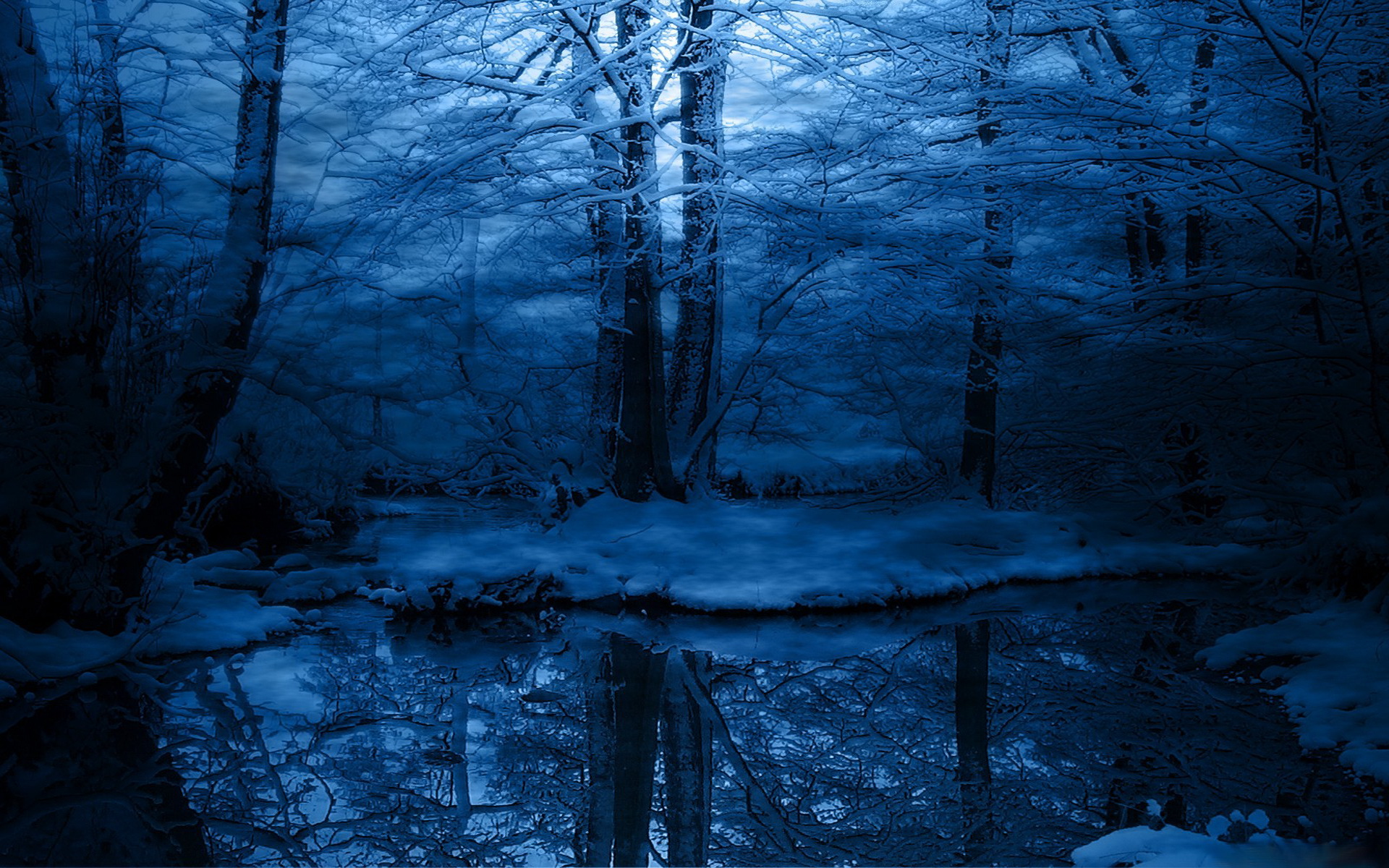 Download mobile wallpaper Snow, Reflection, Forest, Earth for free.