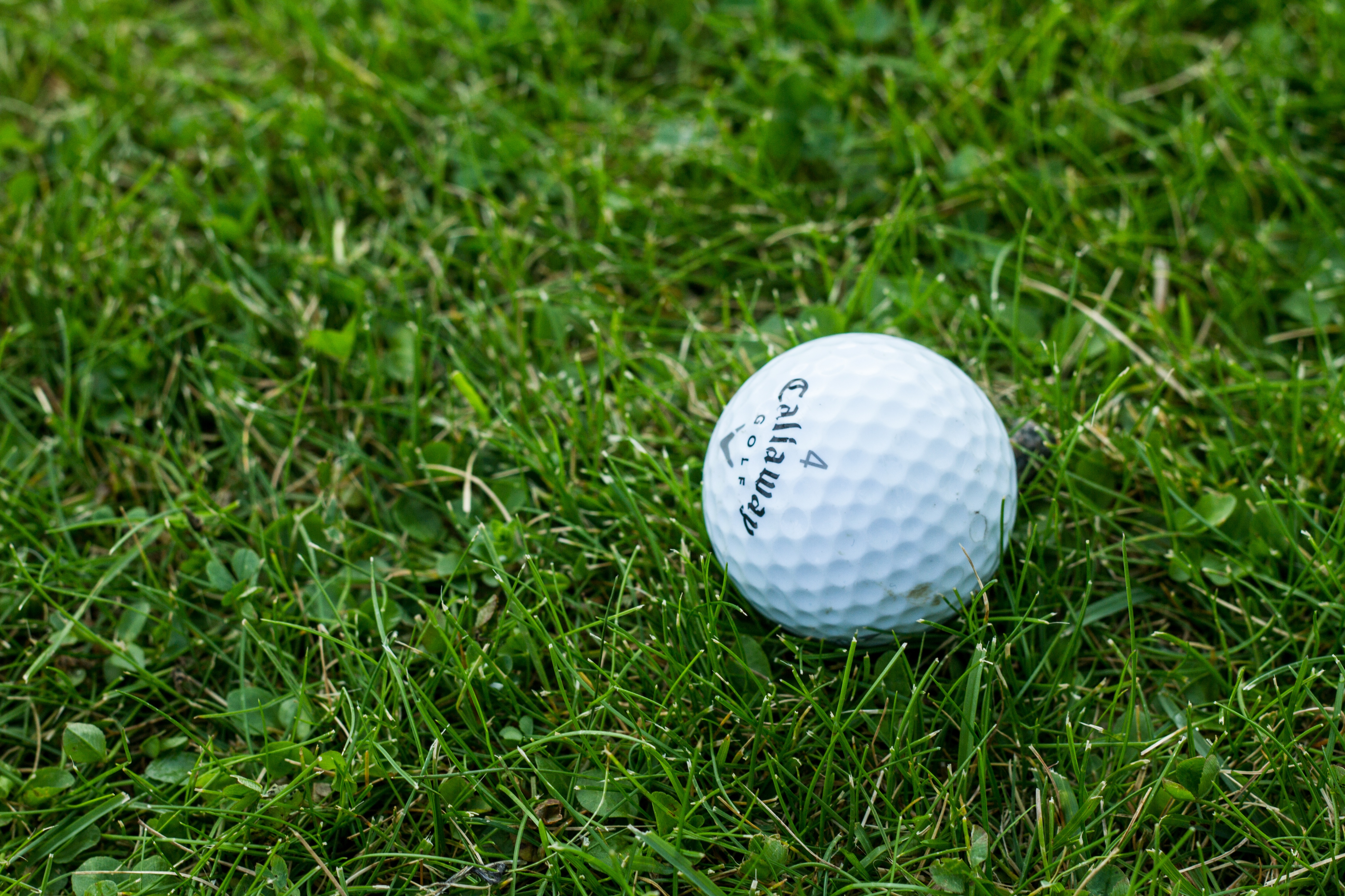 golf, sports, grass, ball