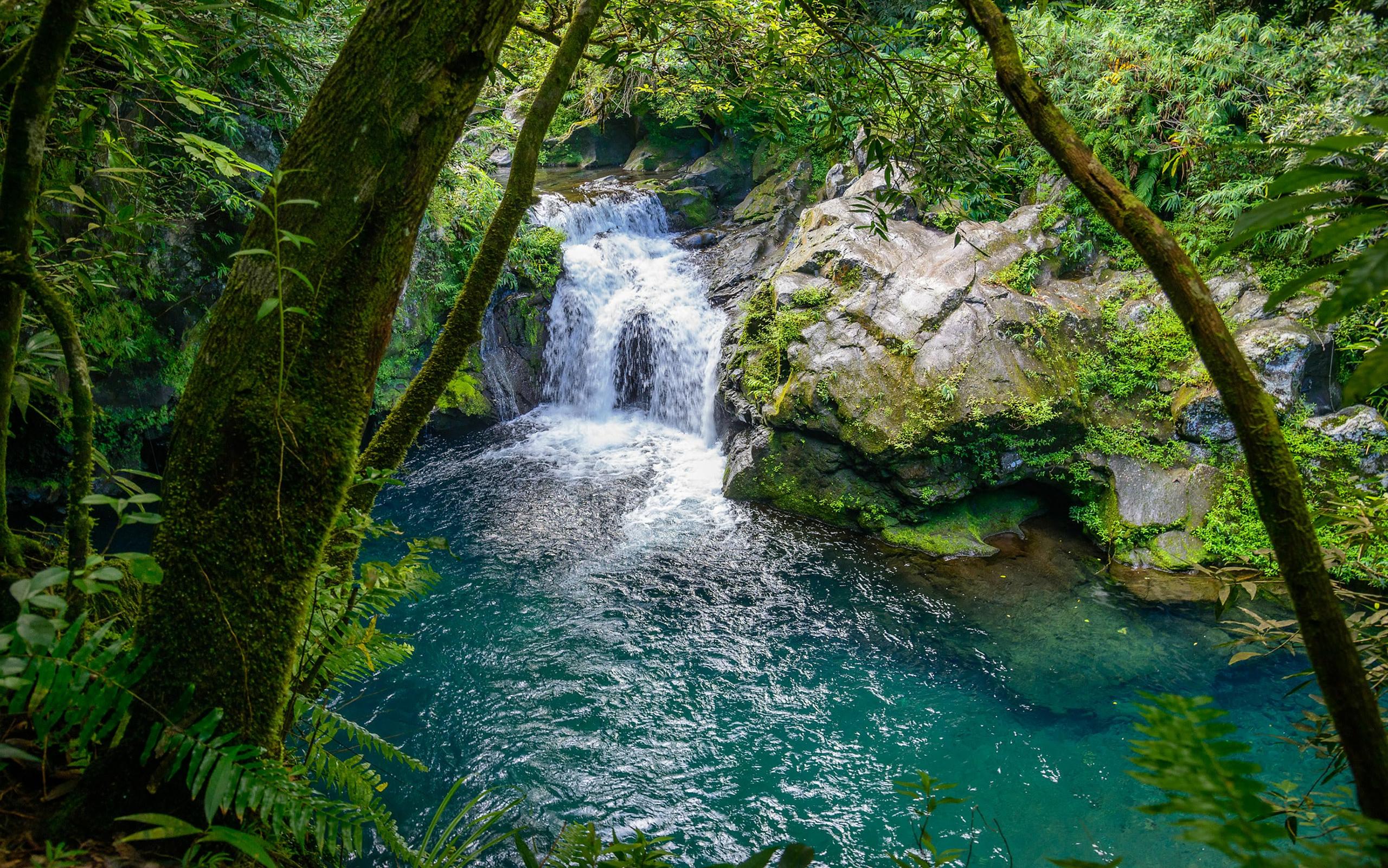 Handy-Wallpaper Wasserfälle, Wasserfall, Fluss, Erde/natur kostenlos herunterladen.