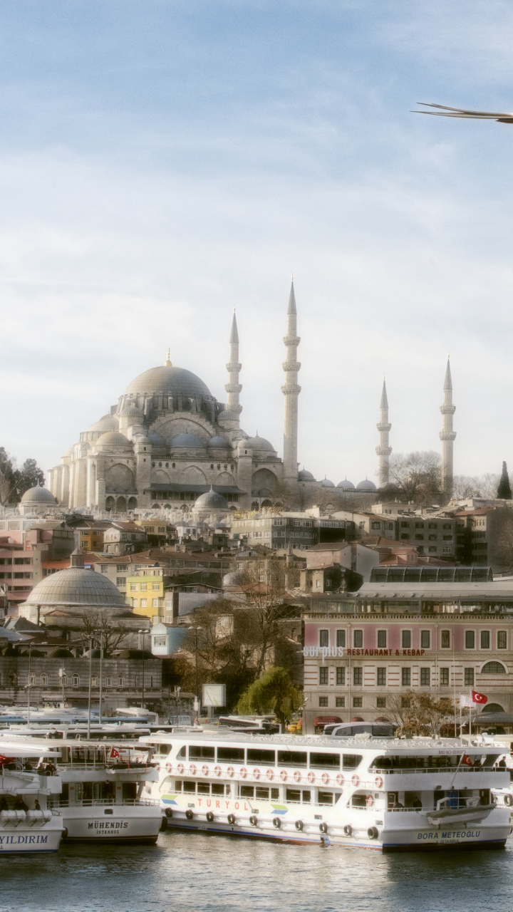 Descarga gratuita de fondo de pantalla para móvil de Gaviota, Pavo, Turquía, Estanbul, Estambul, Religioso, Mezquita De Süleymaniye, Mezquitas.