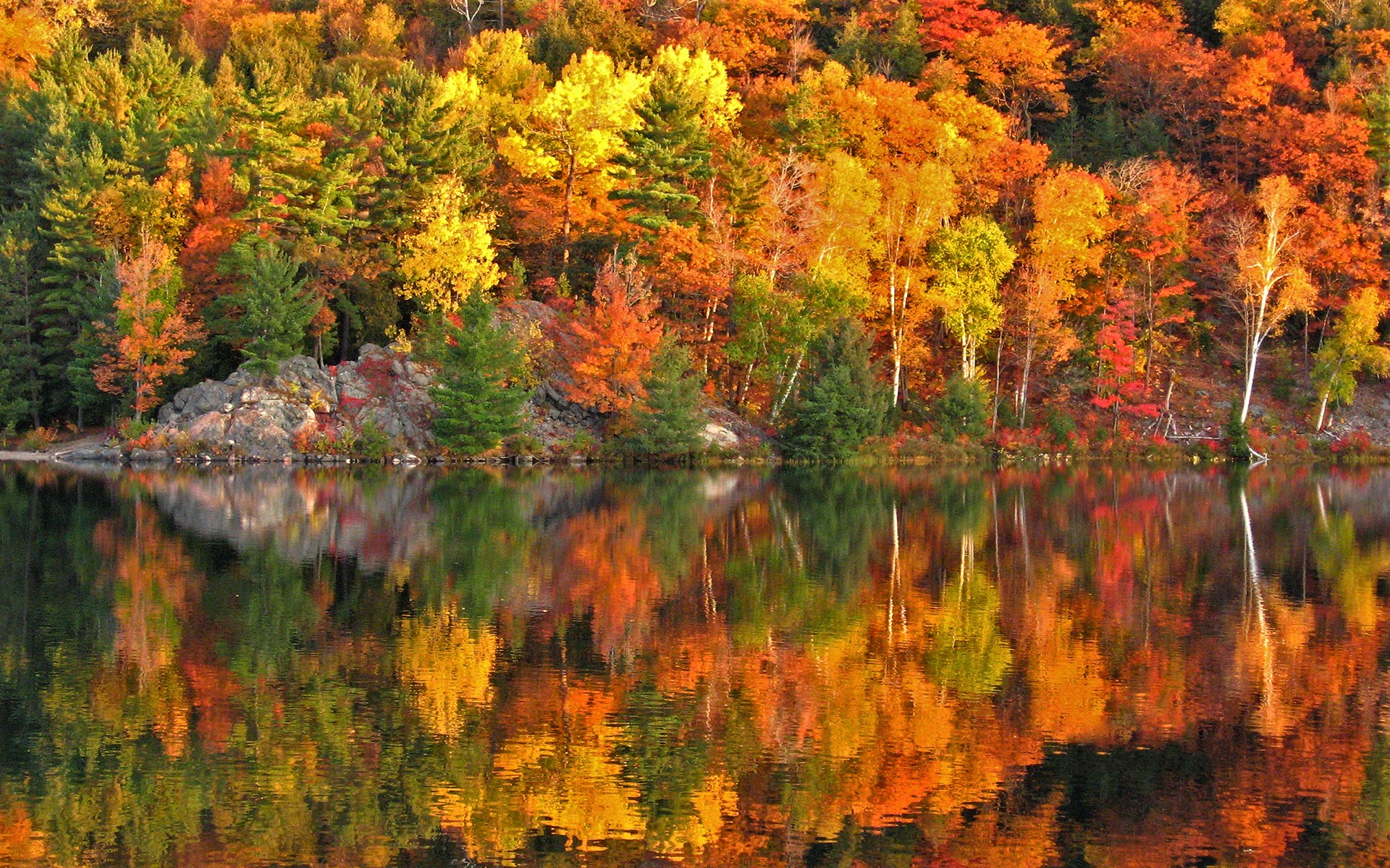 PCデスクトップに秋, 湖, 反射, 森, 地球, カラフル画像を無料でダウンロード