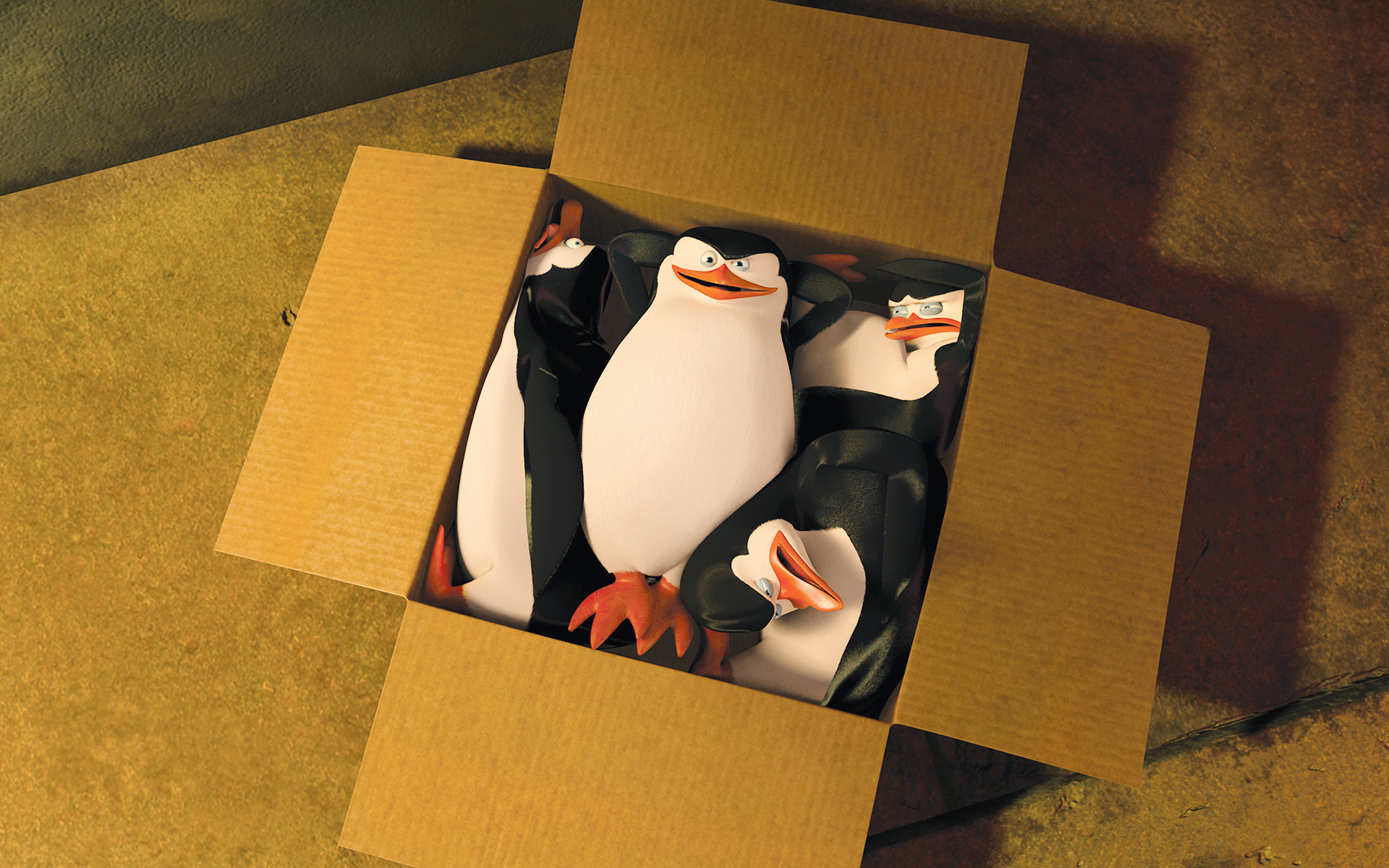 Descarga gratis la imagen Películas, Los Pingüinos De Madagascar en el escritorio de tu PC