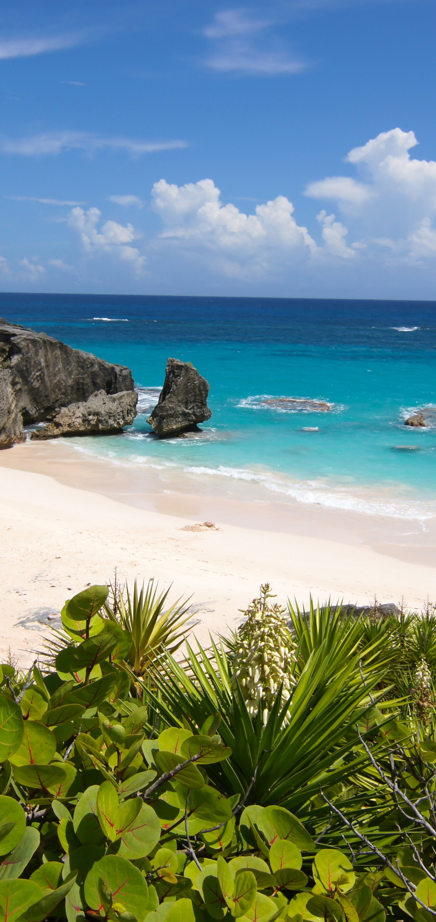 Download mobile wallpaper Beach, Coast, Ocean, Earth, Bermuda for free.
