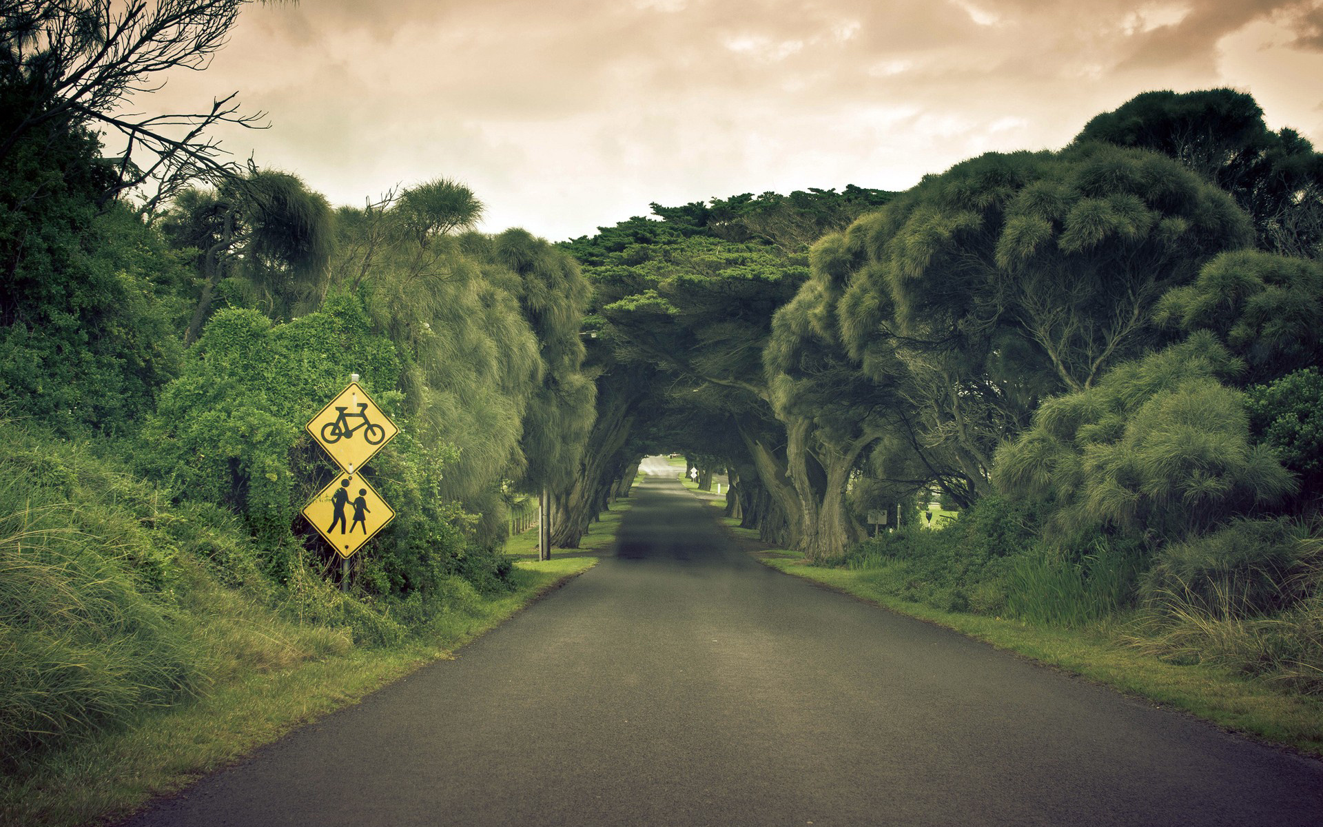Free download wallpaper Road, Tree, Sign, Tunnel, Australia, Man Made on your PC desktop