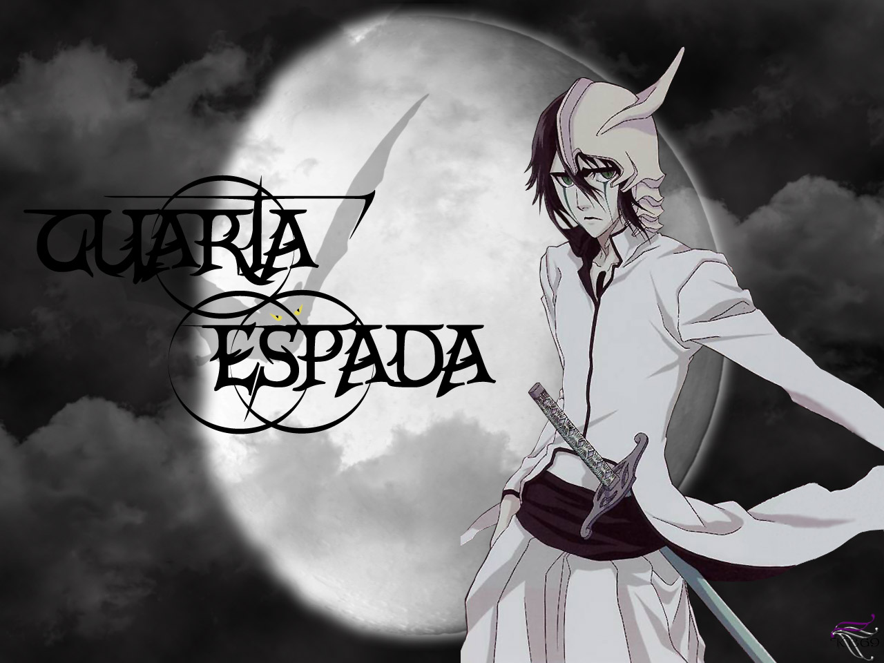 Handy-Wallpaper Bleach, Animes, Ulquiorra Cifer kostenlos herunterladen.