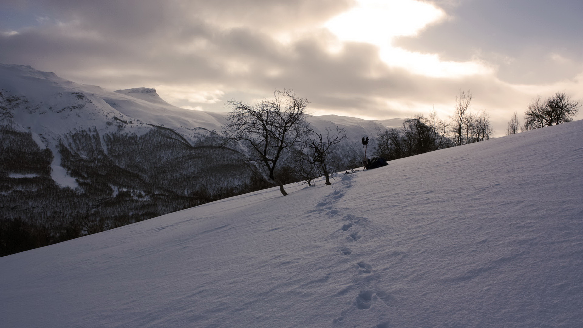 Baixar papel de parede para celular de Inverno, Terra/natureza gratuito.