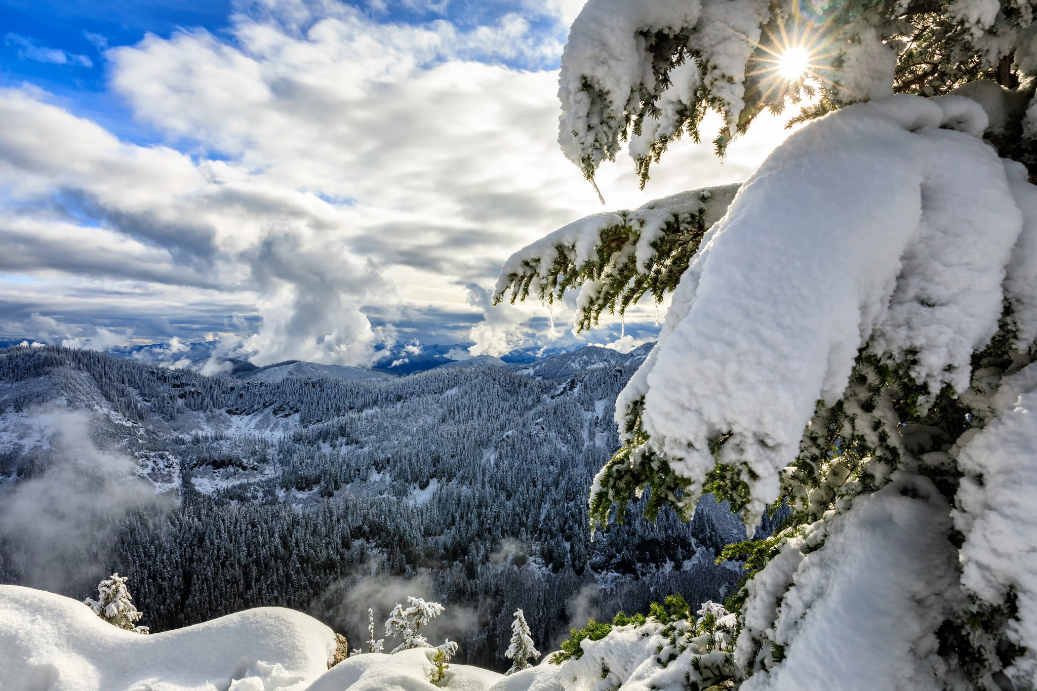 Free download wallpaper Landscape, Winter, Nature, Snow, Horizon, Forest, Earth, Panorama, Cloud on your PC desktop