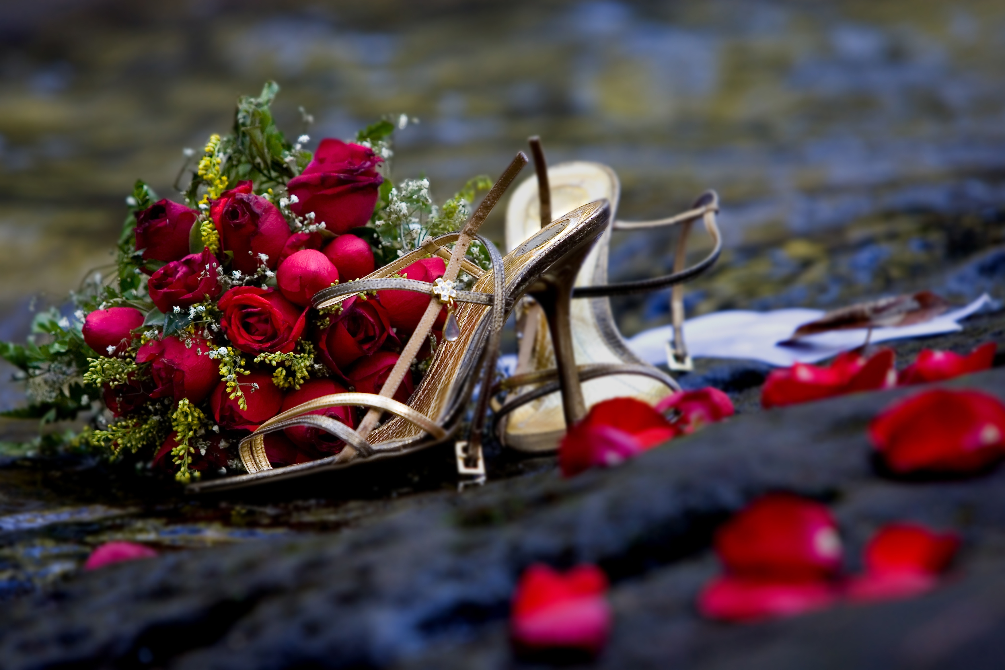 flowers, roses, petals, bouquet, romance, shoes