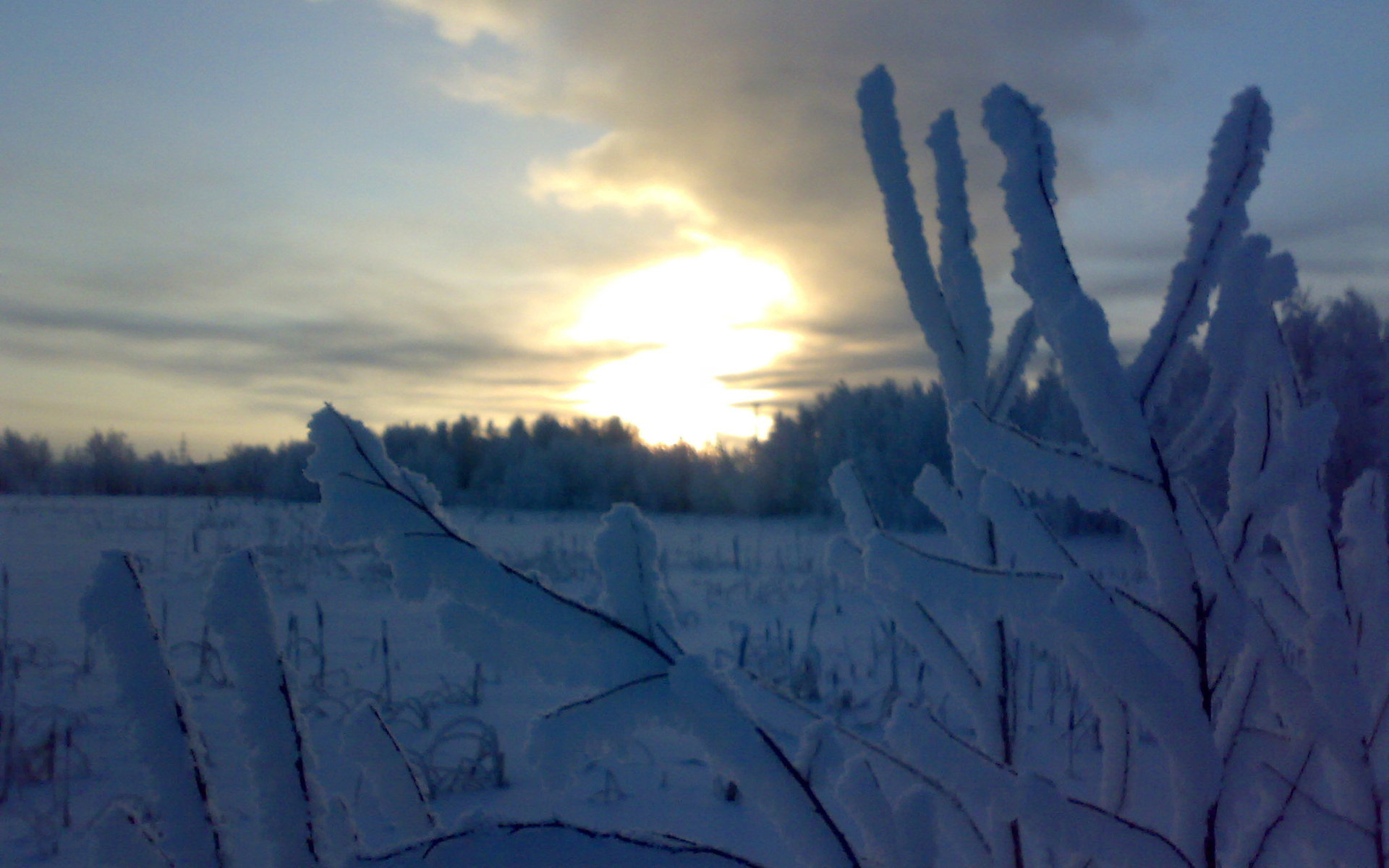 Téléchargez gratuitement l'image Hiver, Terre/nature sur le bureau de votre PC