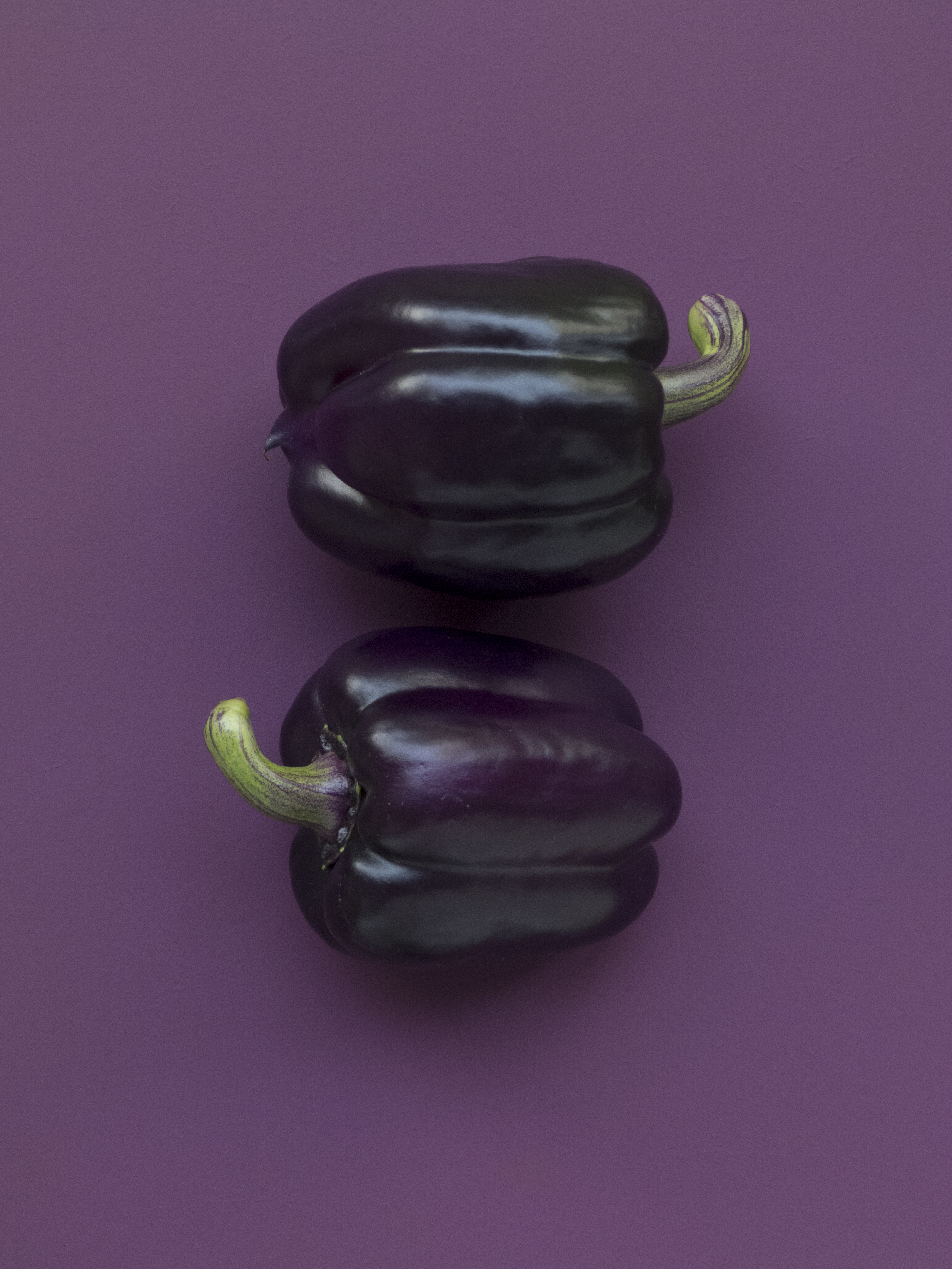 vegetable, food, pepper, violet, purple