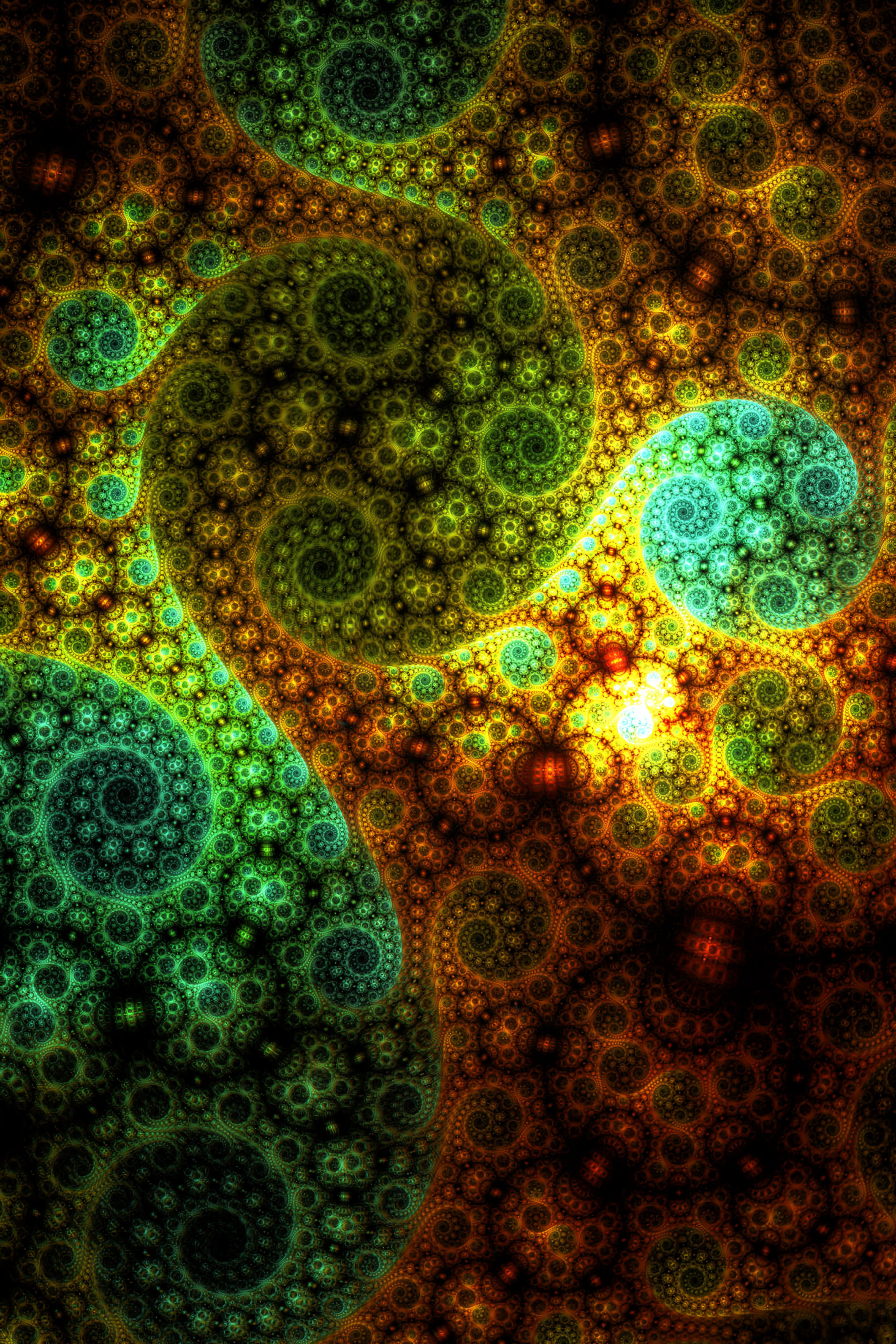 multicolored, abstract, motley, pattern, fractal, spiral, swirling, involute QHD
