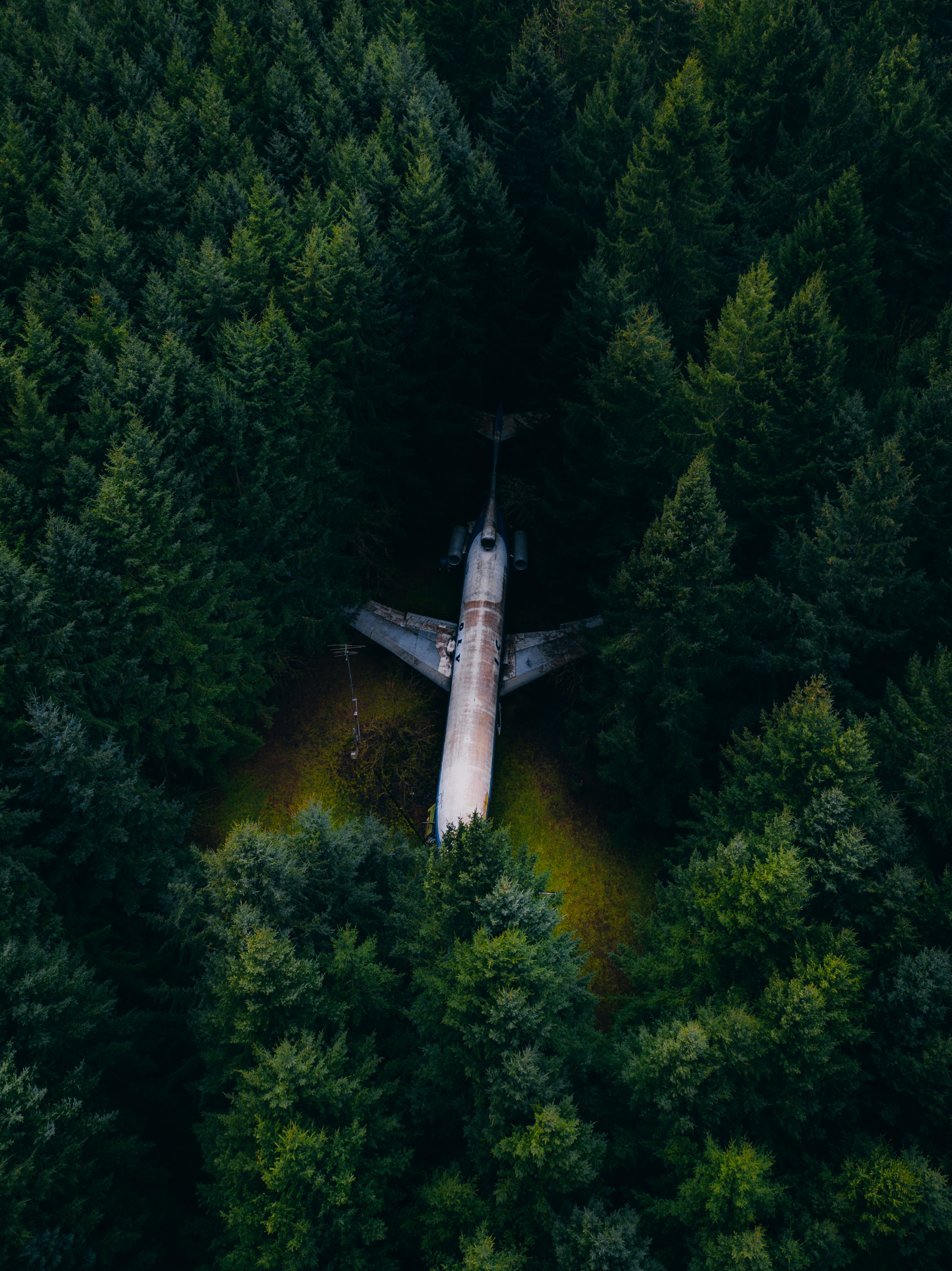 Free download wallpaper Fir Trees, Miscellanea, Forest, Trees, View From Above, Miscellaneous, Airplane, Plane on your PC desktop