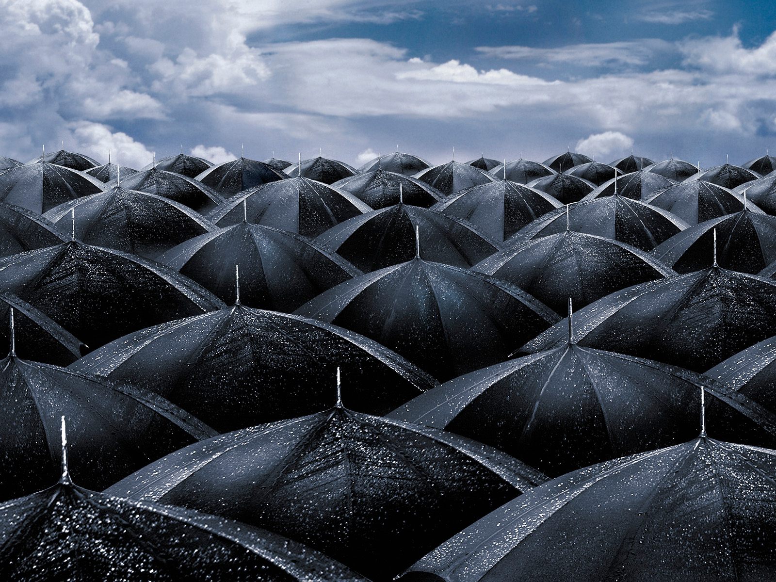 Download mobile wallpaper Umbrella, Photography for free.