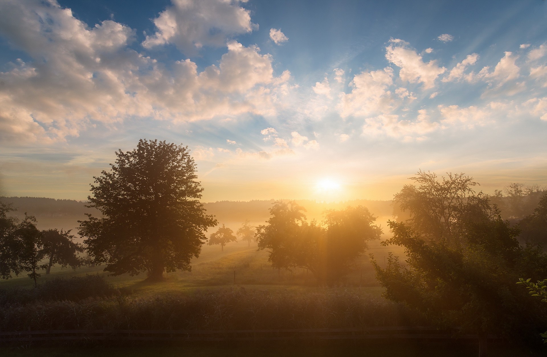 Laden Sie das Sommer, Baum, Sonnenaufgang, Morgen, Wolke, Sonnenstrahl, Erde/natur-Bild kostenlos auf Ihren PC-Desktop herunter