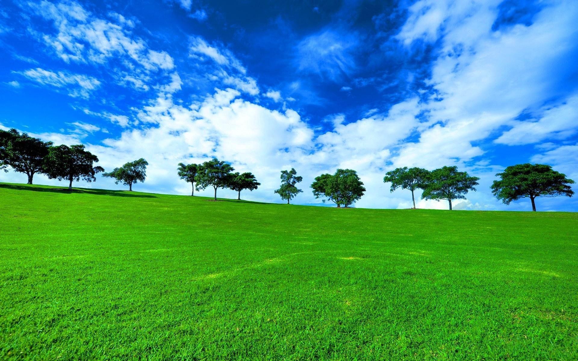 79153画像をダウンロード草原, 夏, 青, 自然, 木, 雲, 緑, 地平線, 青い, 行, 日, 牧草地, 漕ぐ-壁紙とスクリーンセーバーを無料で