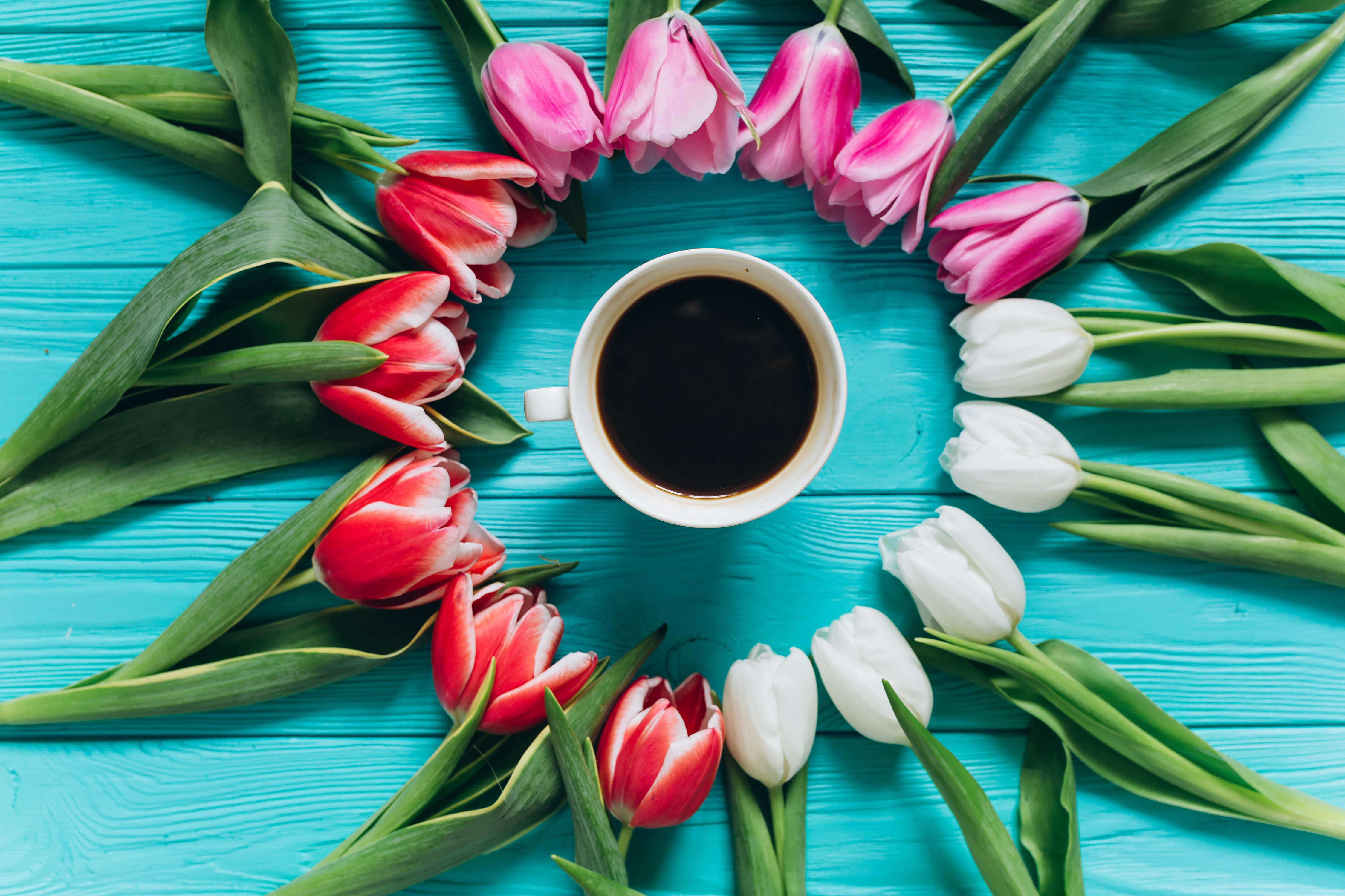 Handy-Wallpaper Blume, Tasse, Tulpe, Weiße Blume, Rote Blume, Nahrungsmittel, Pinke Blume, Kaffee kostenlos herunterladen.