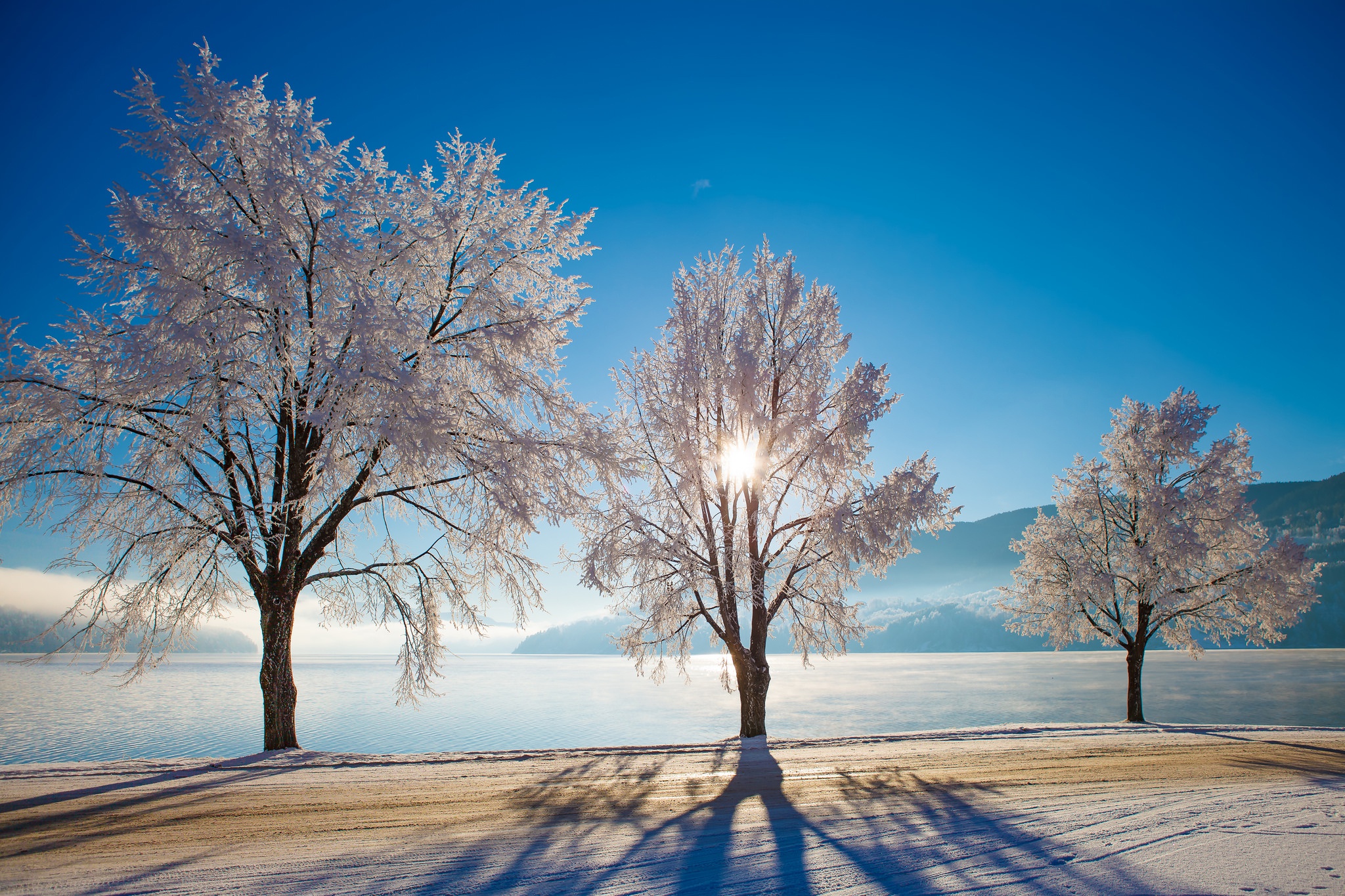 Скачать картинку Зима, Природа, Снег, Озеро, Дерево, Солнечно, Земля/природа в телефон бесплатно.