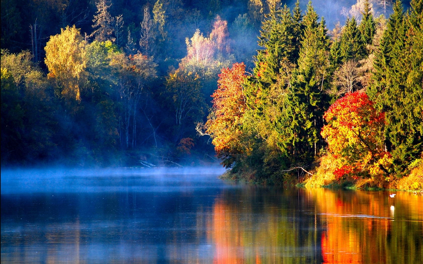 Скачать картинку Деревья, Река, Пейзаж, Осень в телефон бесплатно.