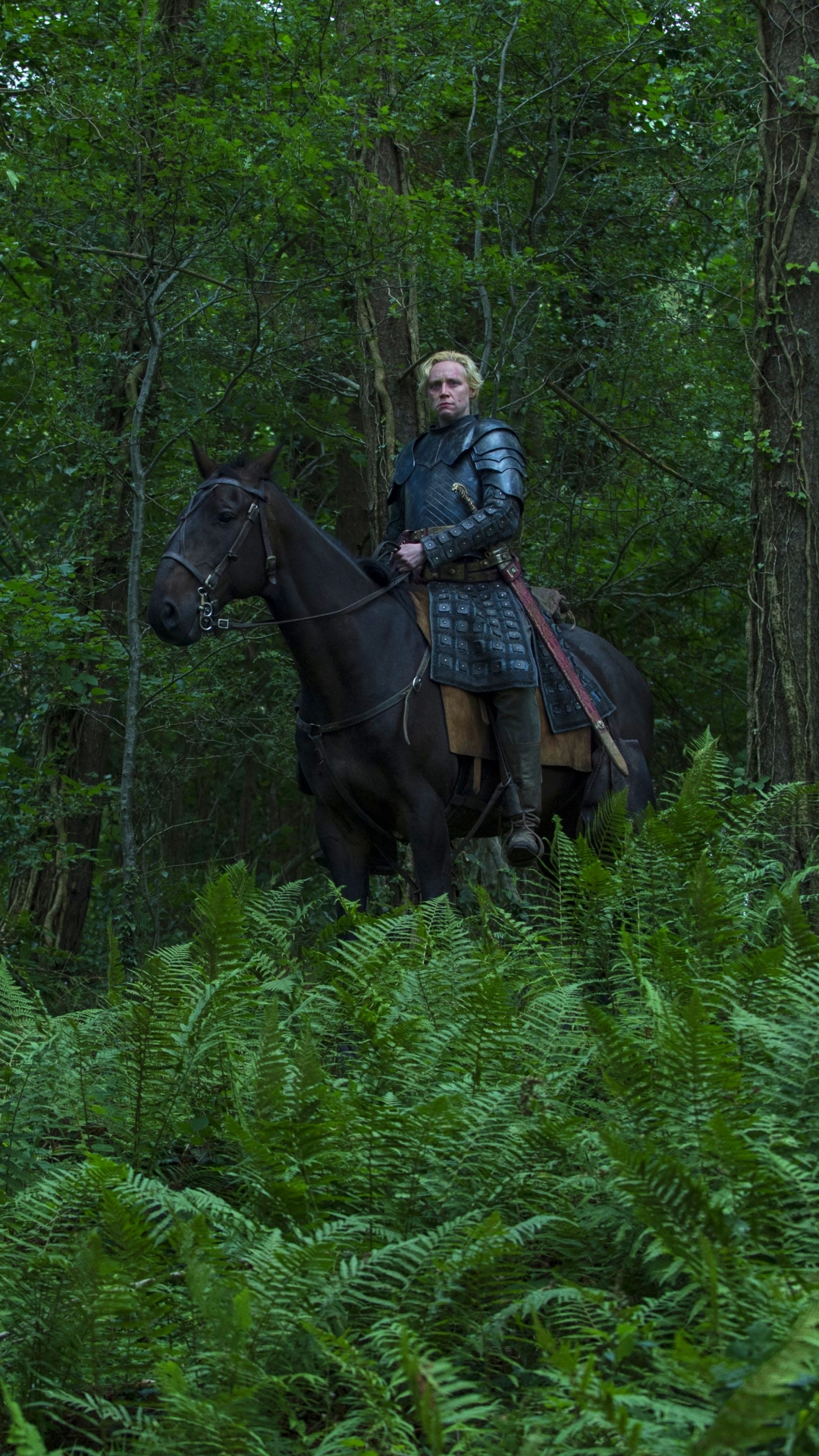 Descarga gratuita de fondo de pantalla para móvil de Juego De Tronos, Series De Televisión, Brienne De Tarth, Gwendoline Christie.